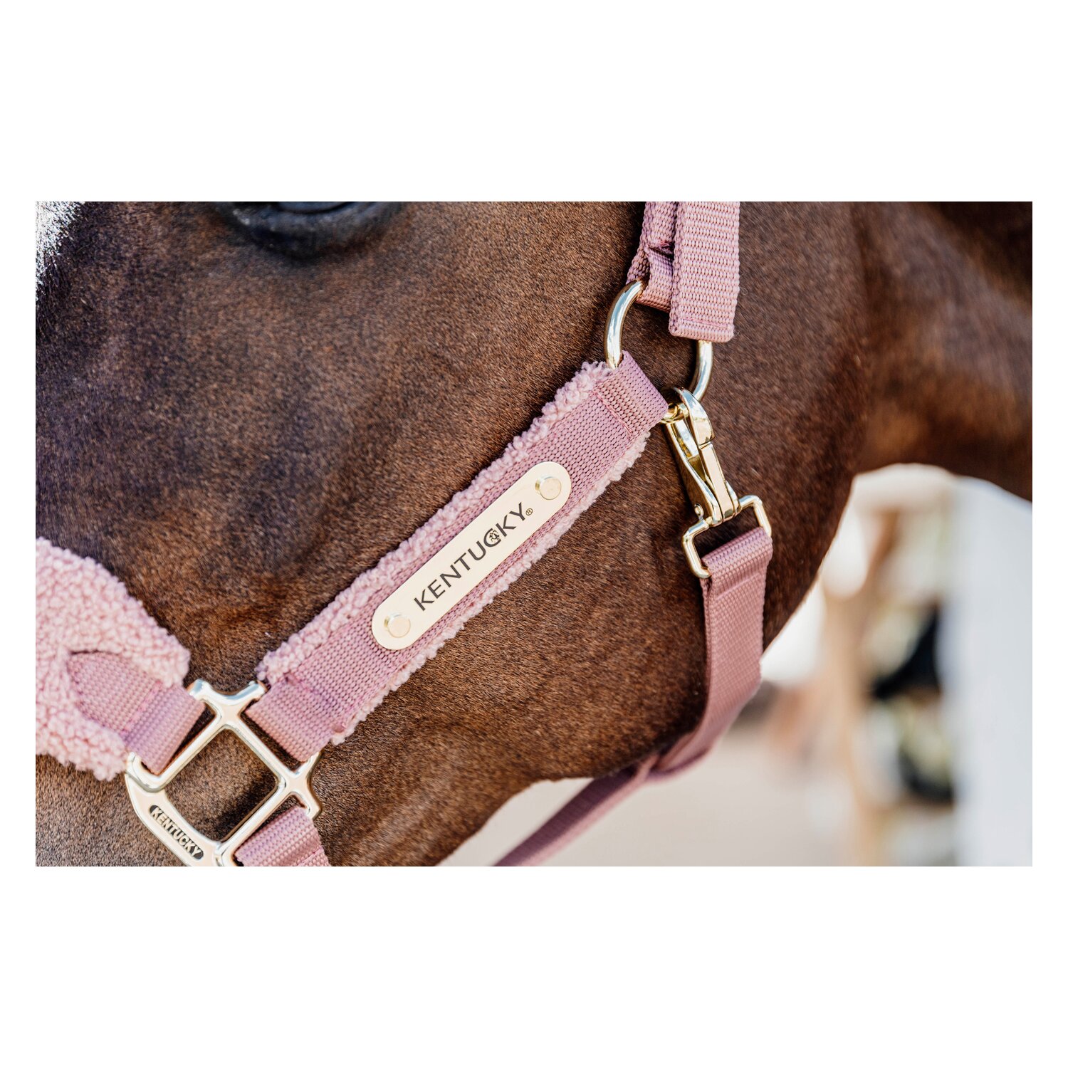 KENTUCKY Teddyfleece-Halfter – Ansicht 4