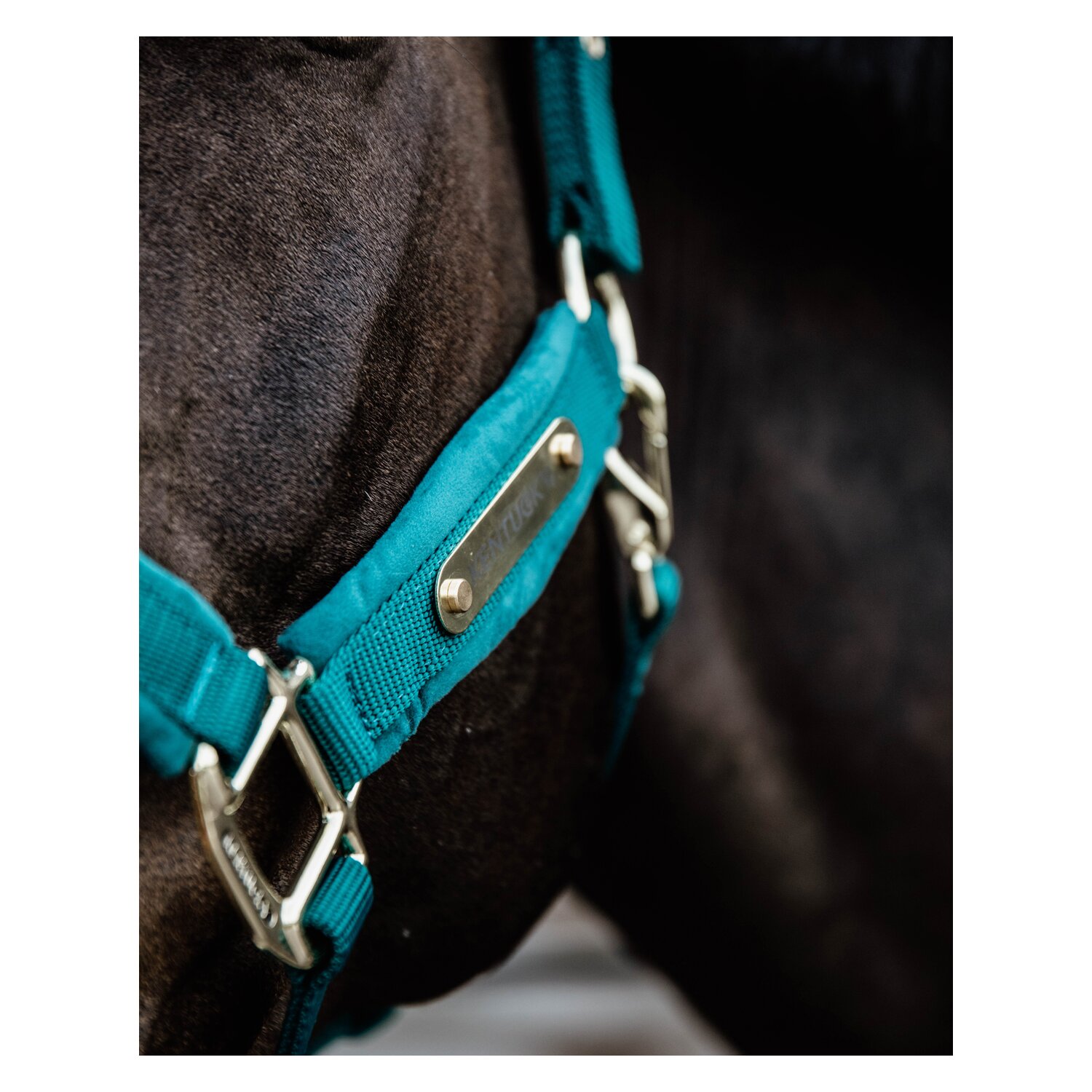 KENTUCKY Halfter Velvet – Ansicht 3