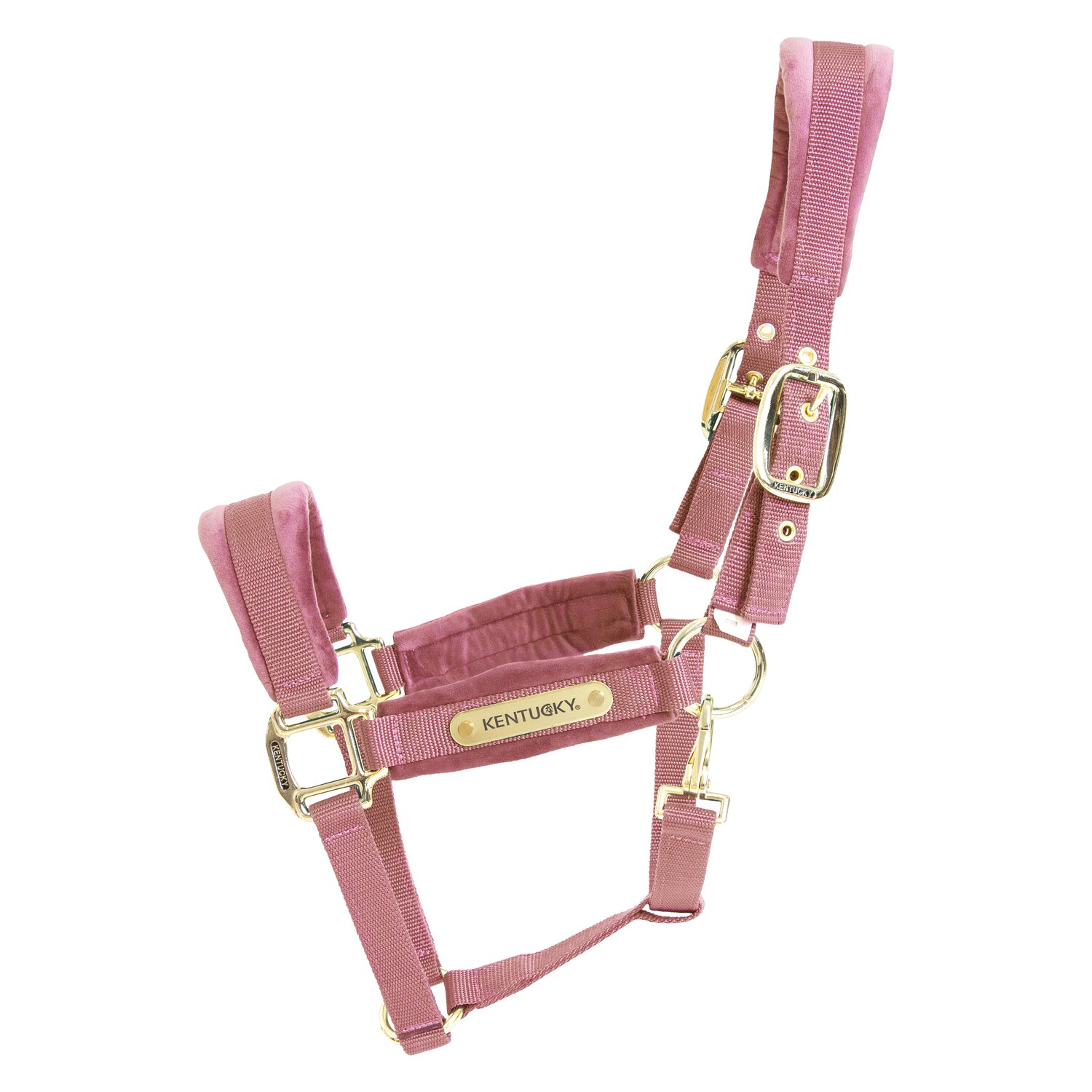 KENTUCKY Halfter Velvet – Ansicht 1