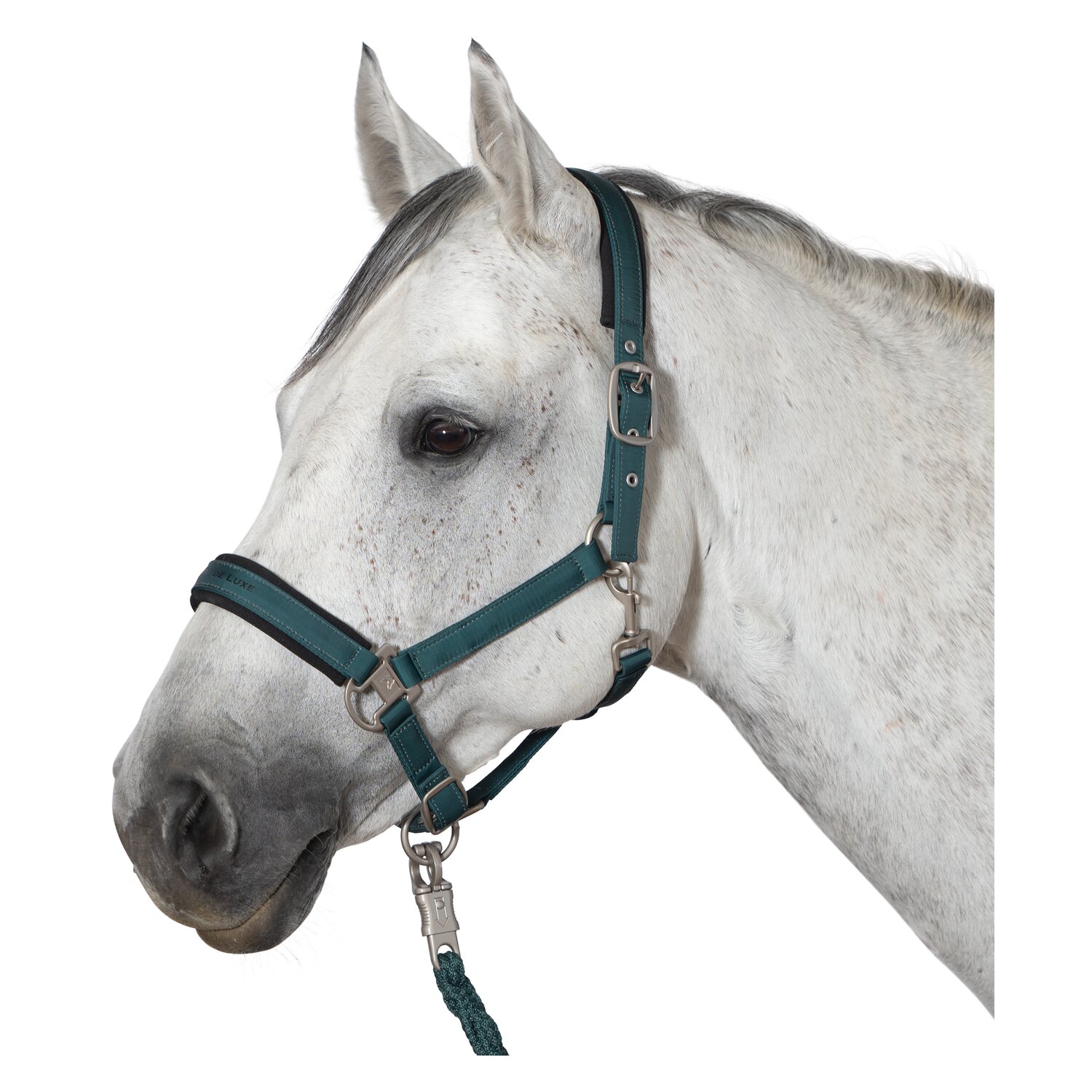 Cheval de Luxe Halfter – Ansicht 1