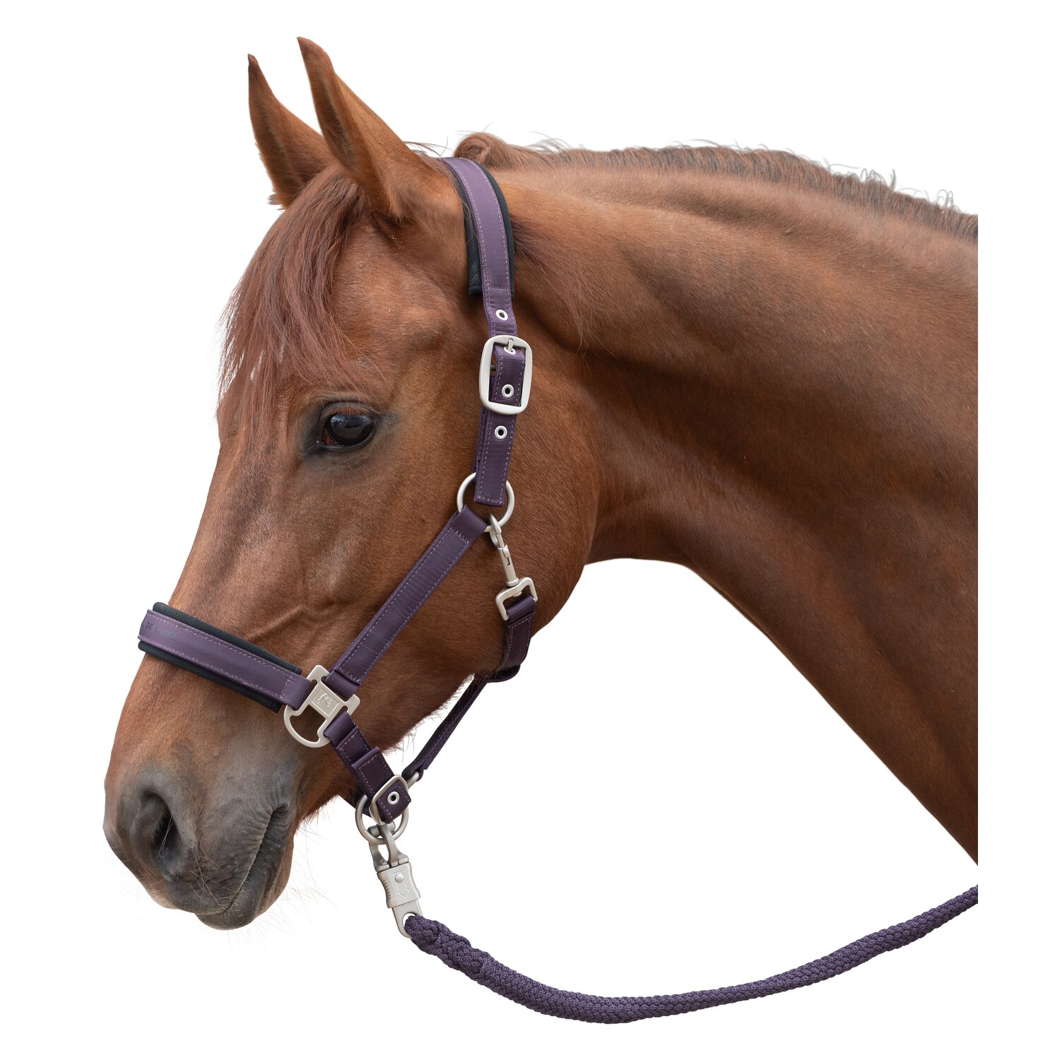 Cheval de Luxe Halfter – Ansicht 1