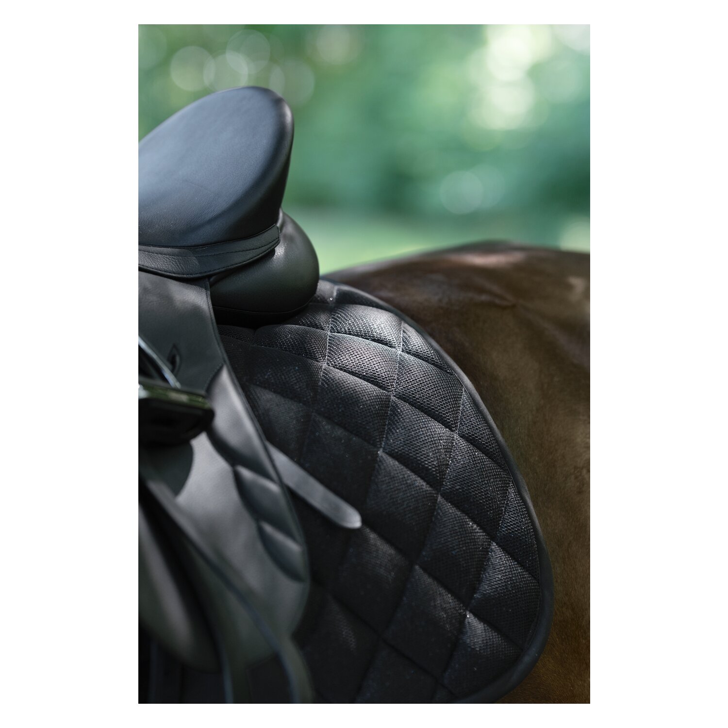 RIDE now Schabracke &ndash; Ansicht 3