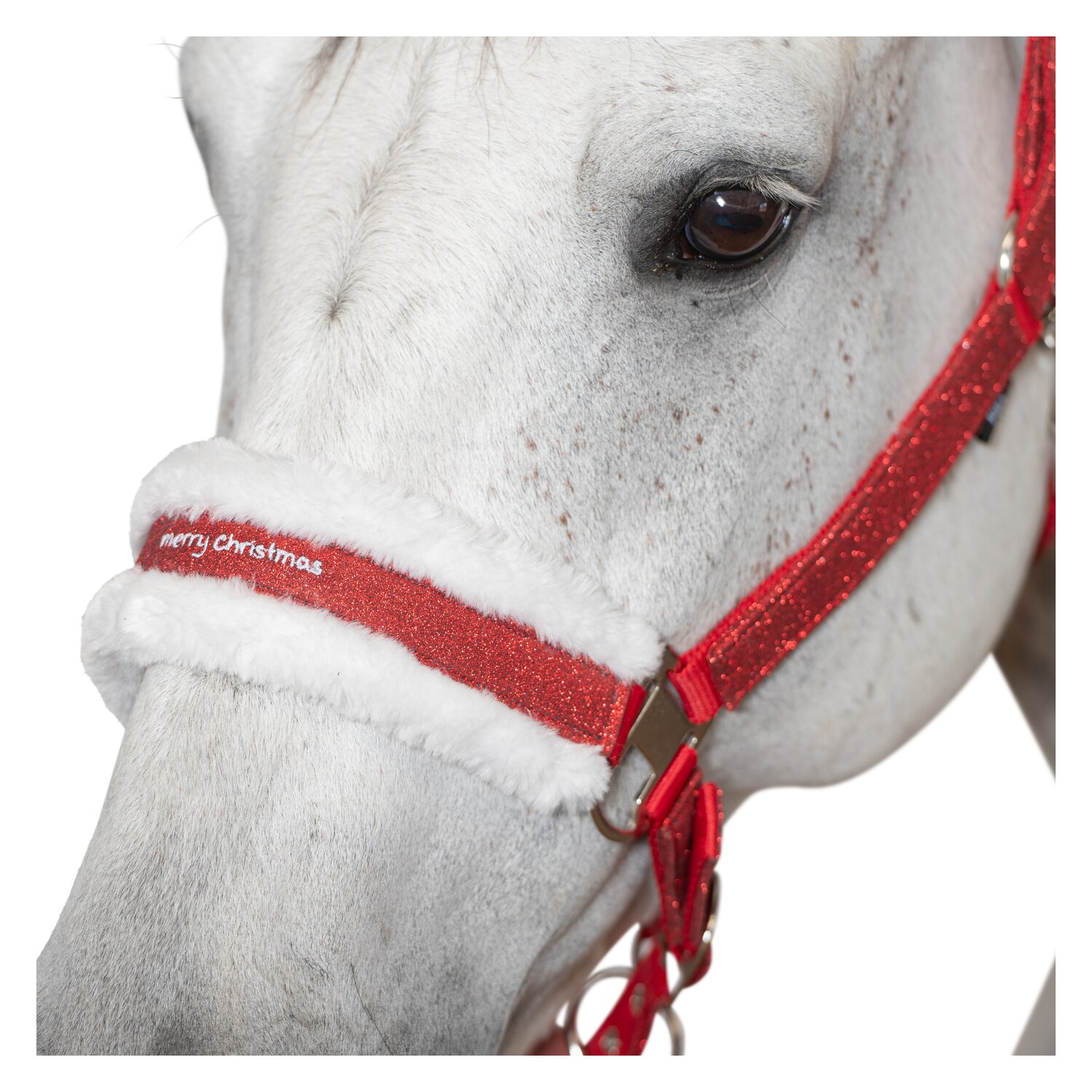 Horse-friends Weihnachtshalfter – Ansicht 3