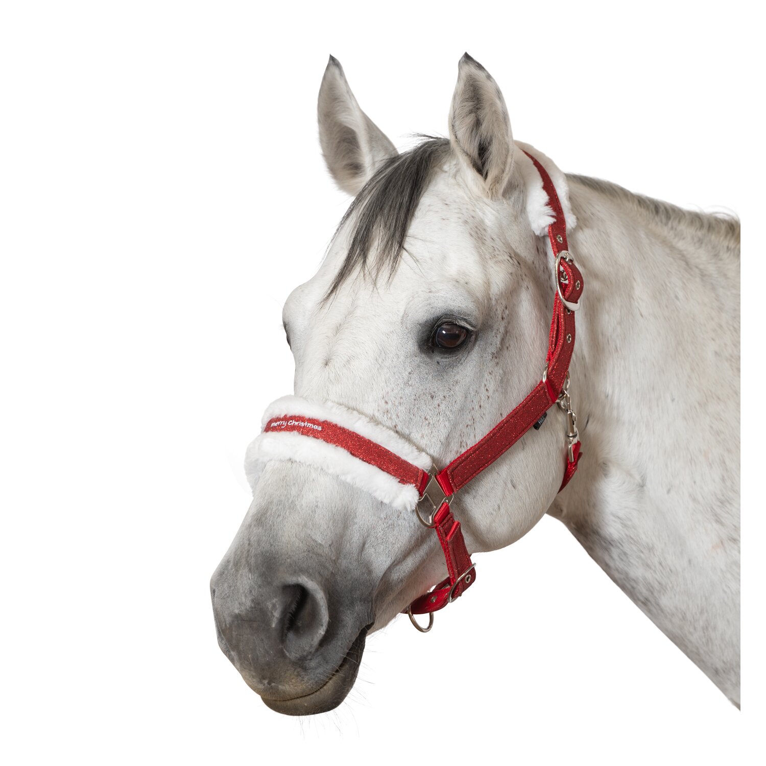 Horse-friends Weihnachtshalfter – Ansicht 1