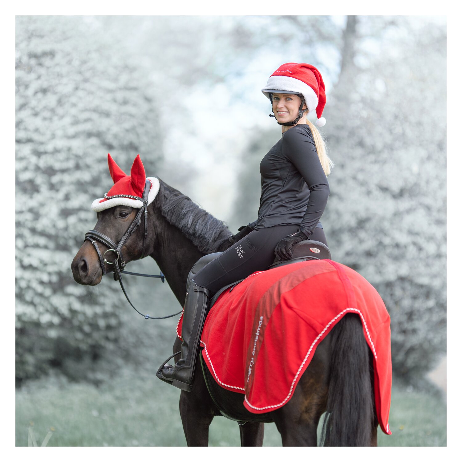 Horse-friends Ausreitdecke – Ansicht 1