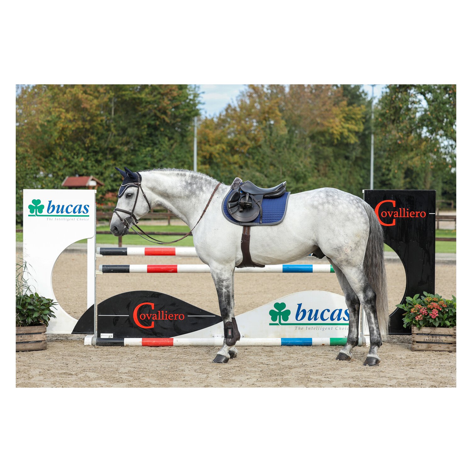 bucas Show-Line Collection Schabracke – Ansicht 2