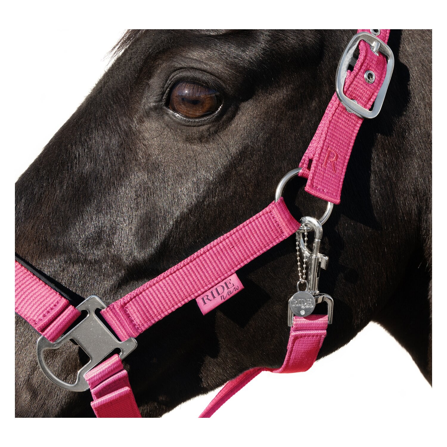 RIDE now Halfter &ndash; Ansicht 2