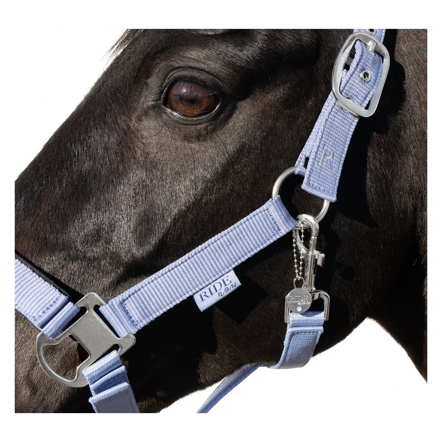 RIDE now Halfter &ndash; Ansicht 2