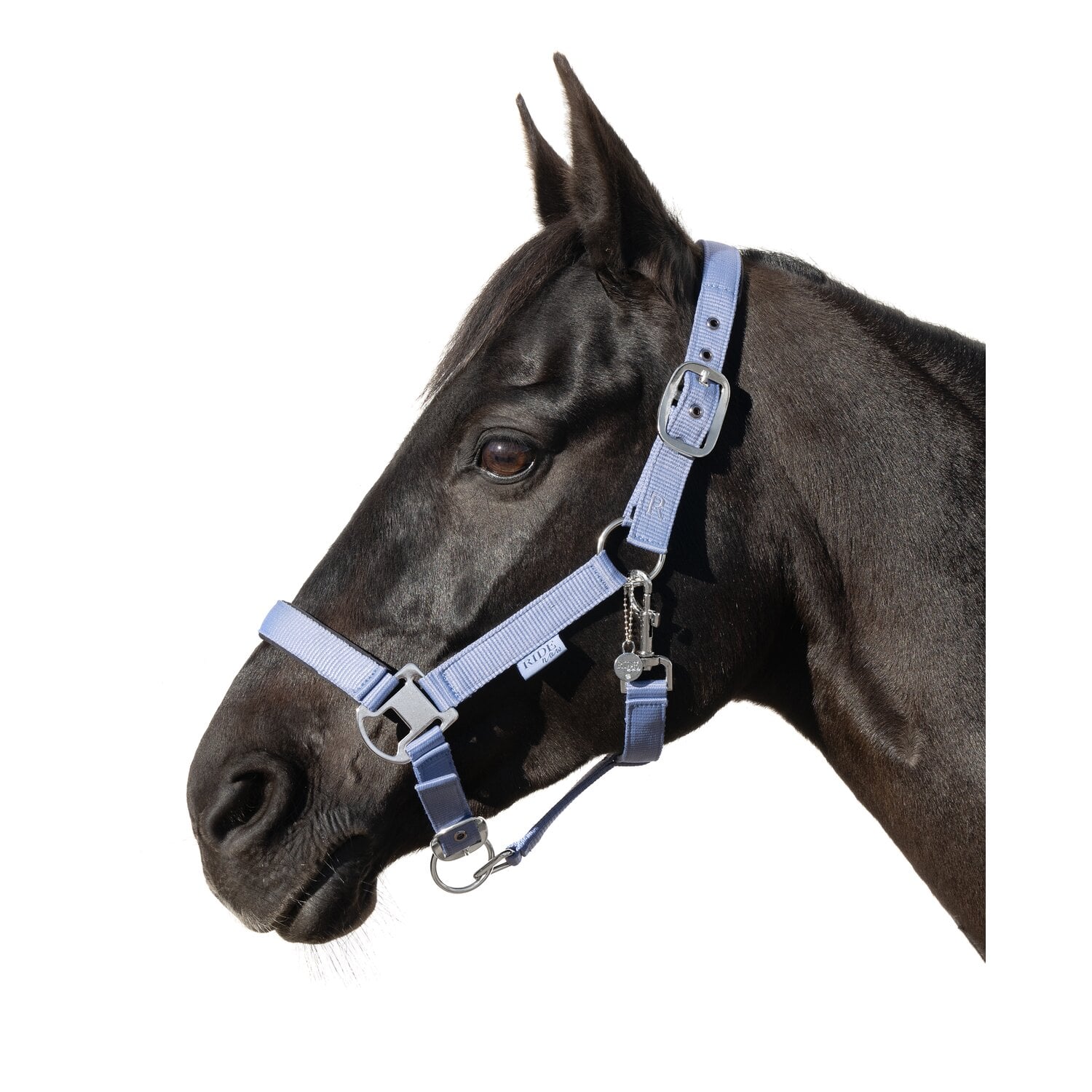 RIDE now Halfter &ndash; Ansicht 1