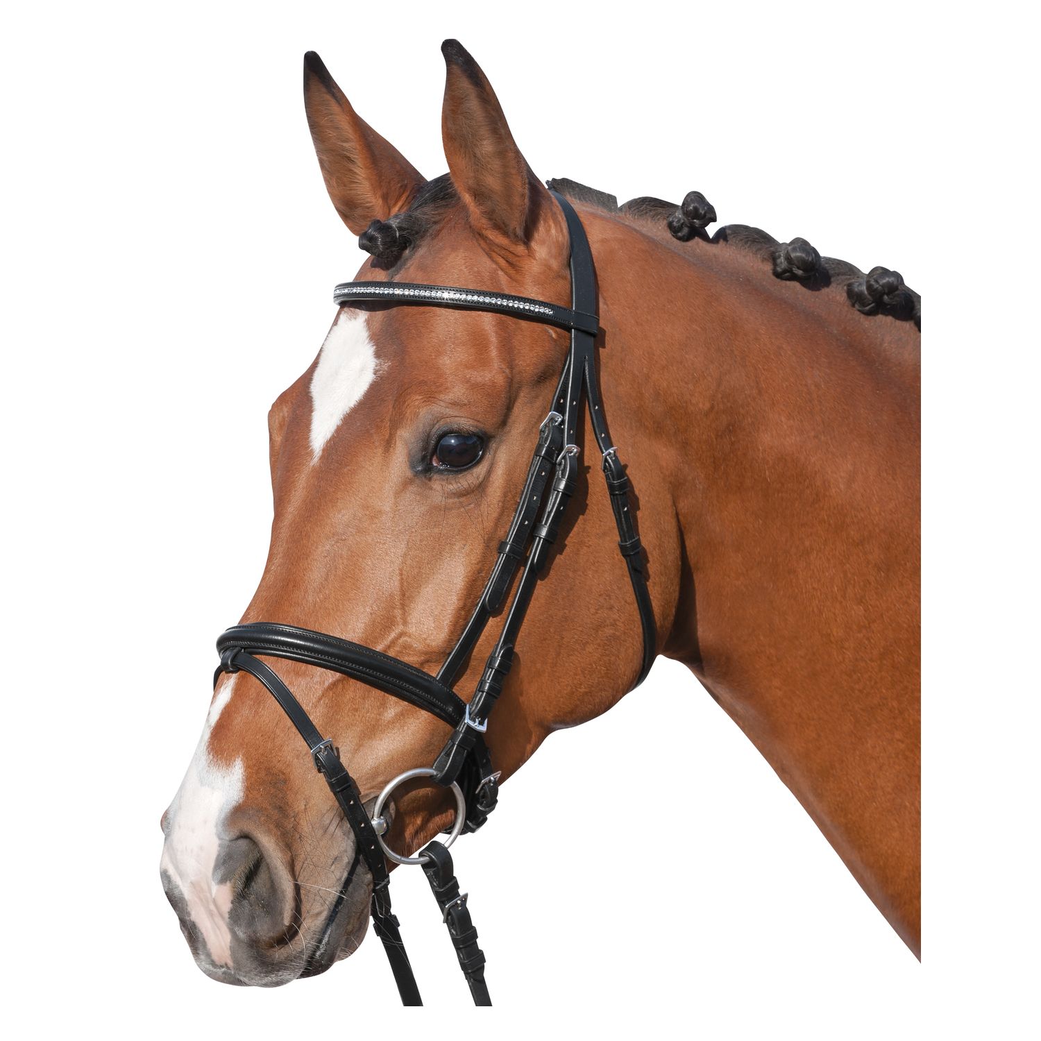 Loesdau Trensenzaum Diamond II &ndash; Ansicht 1