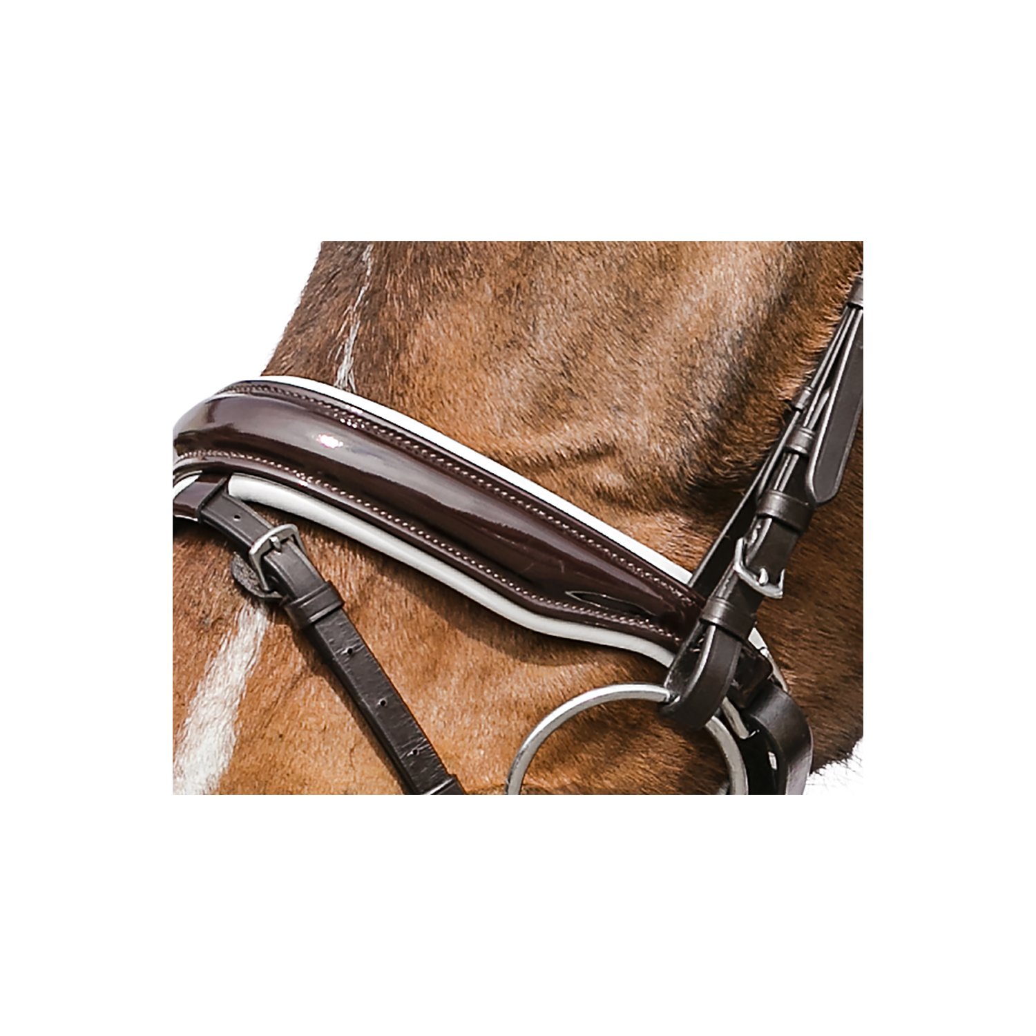 Loesdau Trensenzaum Stuttgart – Ansicht 3