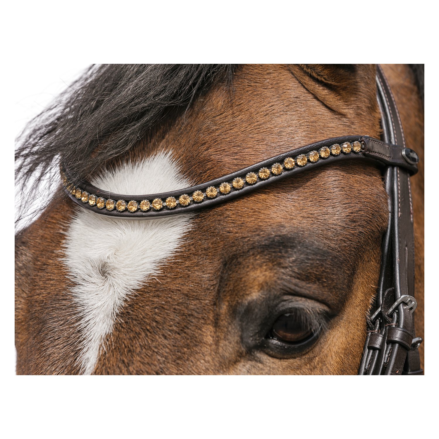 Loesdau Trensenzaum Stuttgart – Ansicht 2