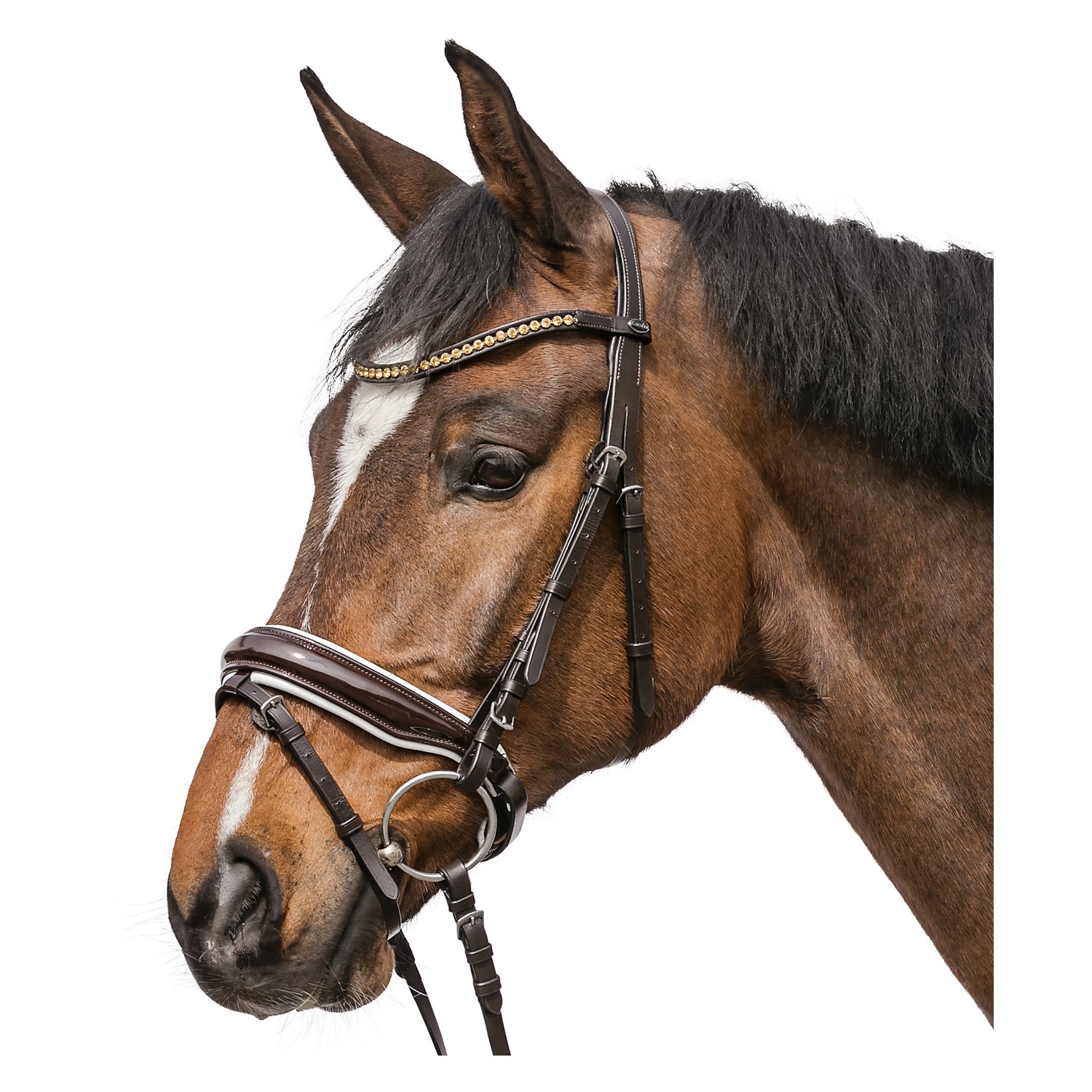 Loesdau Trensenzaum Stuttgart – Ansicht 1