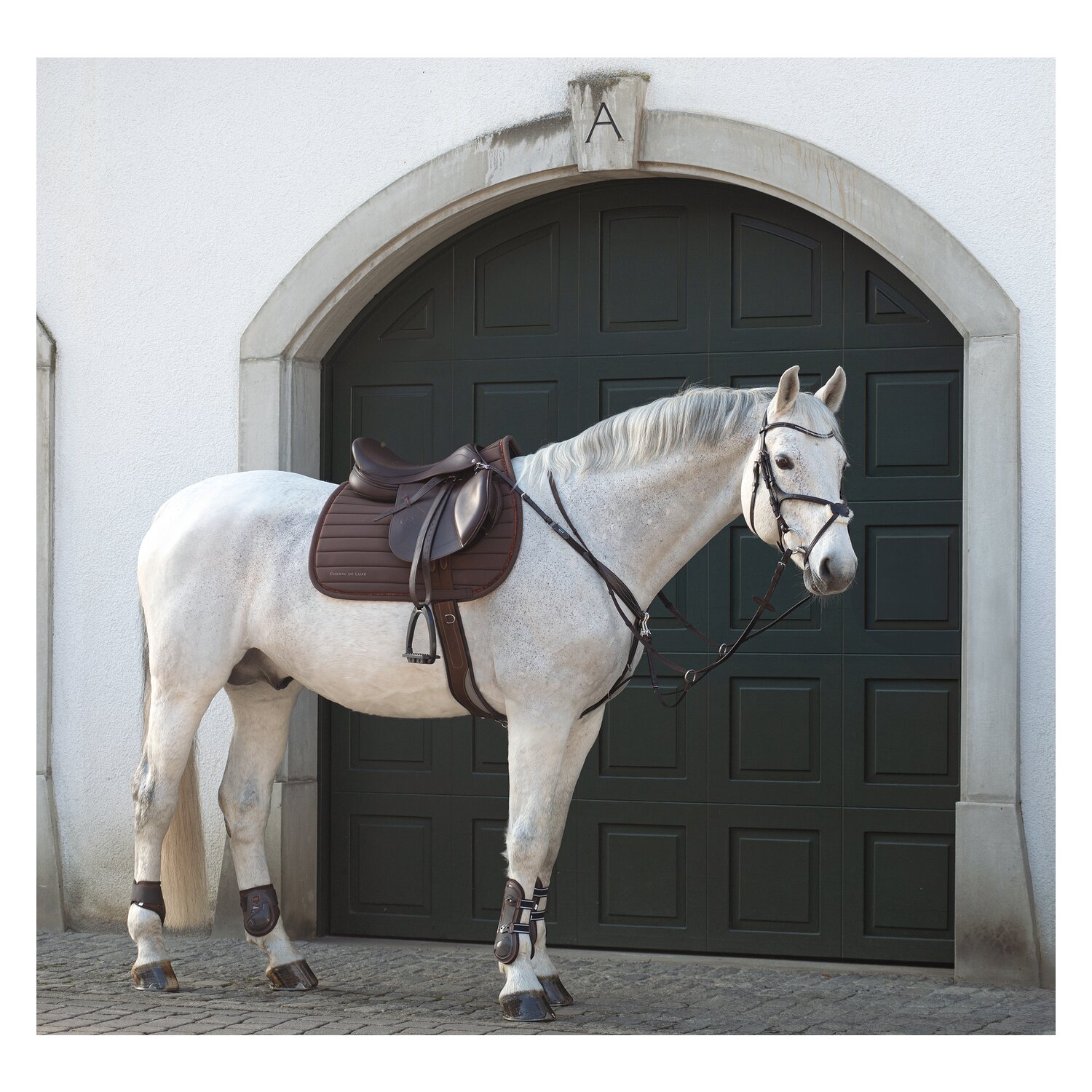 Cheval de Luxe Trensenzaum Miami &ndash; Ansicht 5