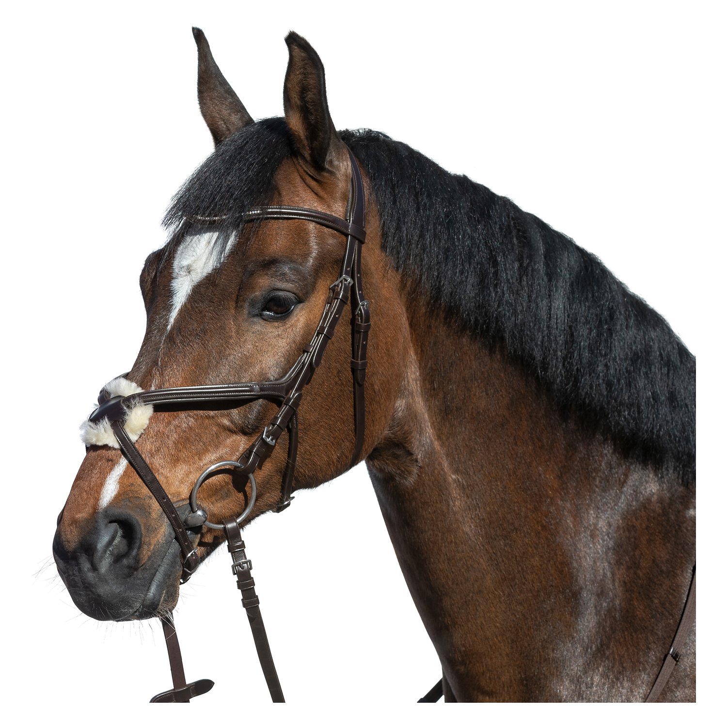 Cheval de Luxe Trensenzaum Miami – Ansicht 1