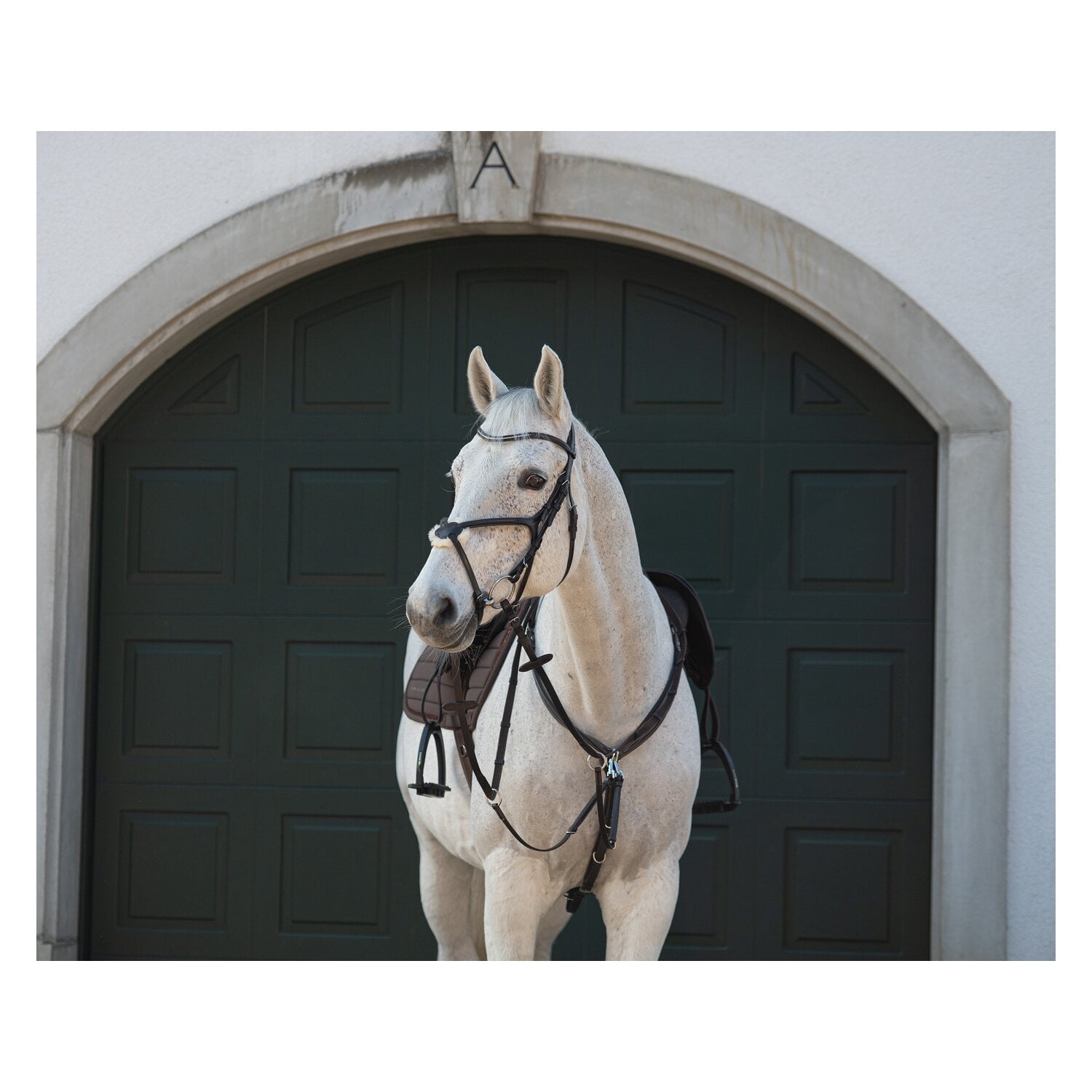 Cheval de Luxe Trensenzaum Miami &ndash; Ansicht 6