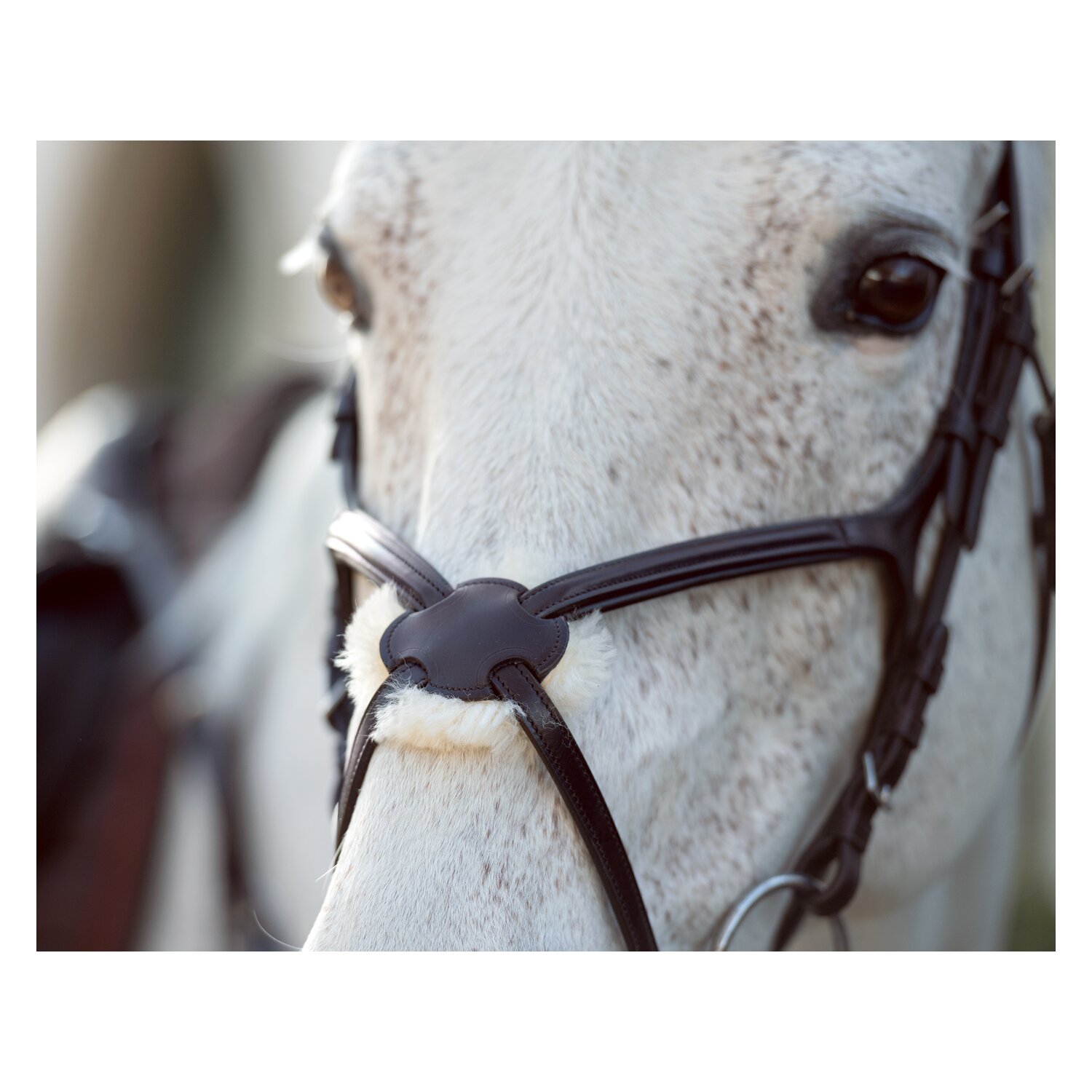Cheval de Luxe Trensenzaum Miami &ndash; Ansicht 7
