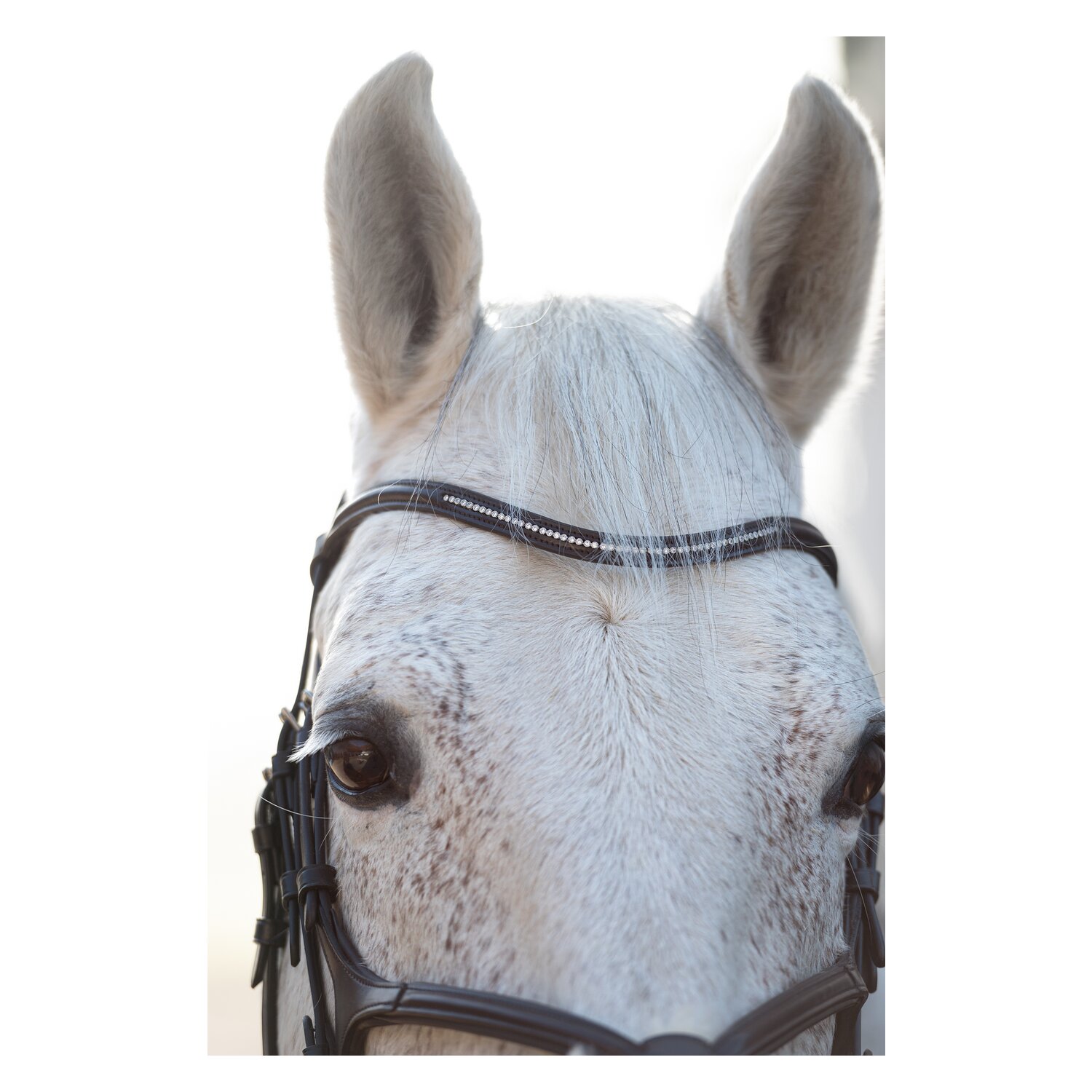 Cheval de Luxe Trensenzaum Miami &ndash; Ansicht 8