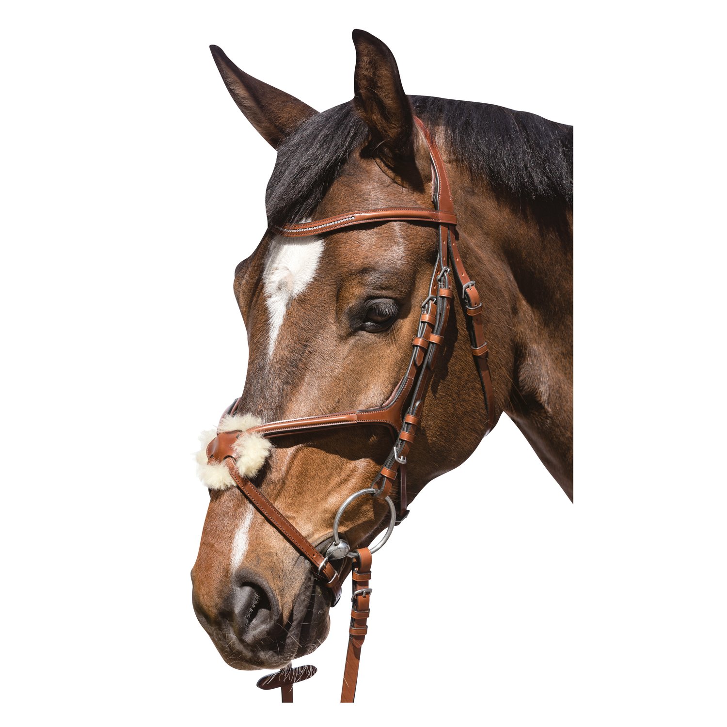 Cheval de Luxe Trensenzaum Miami – Ansicht 1