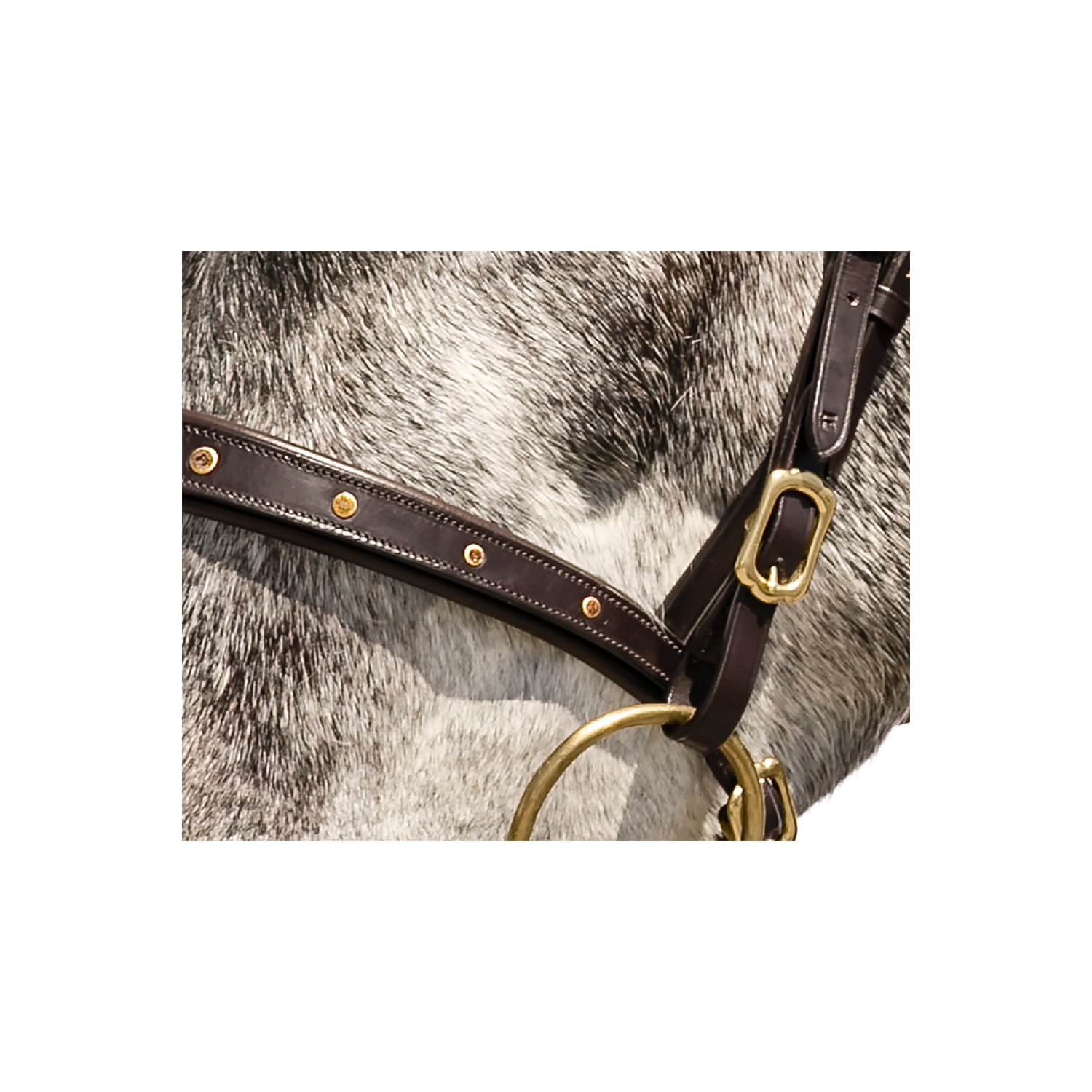 Loesdau Trensenzaum Saumur – Ansicht 2