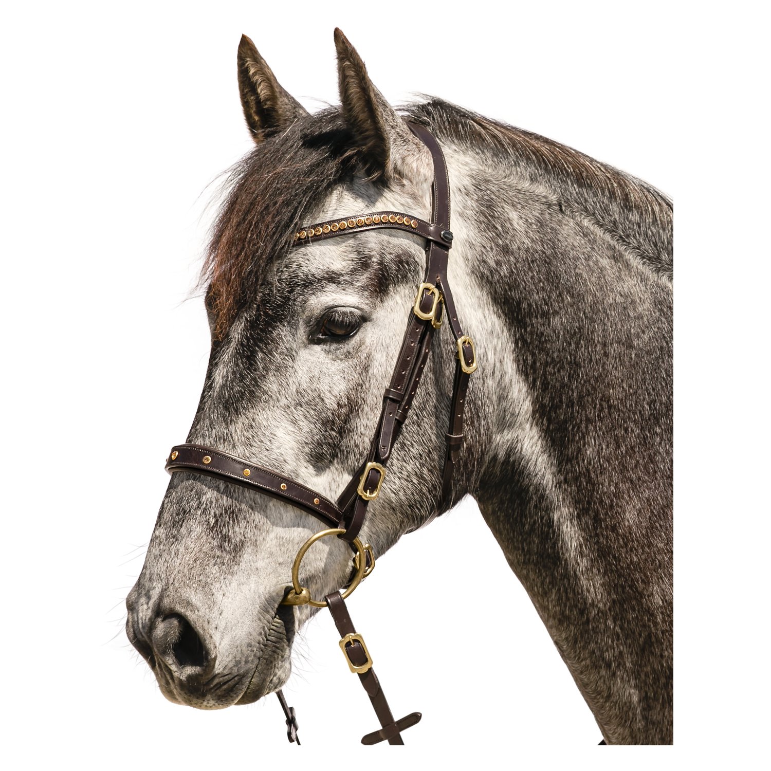 Loesdau Trensenzaum Saumur – Ansicht 1