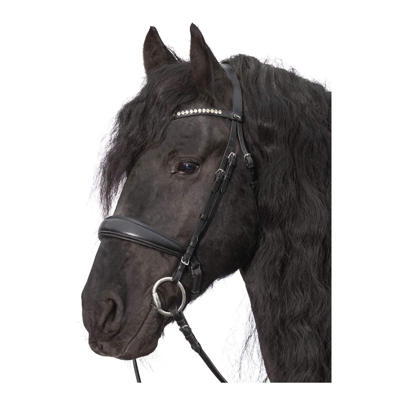 Loesdau Trensenzaum Venice – Ansicht 2