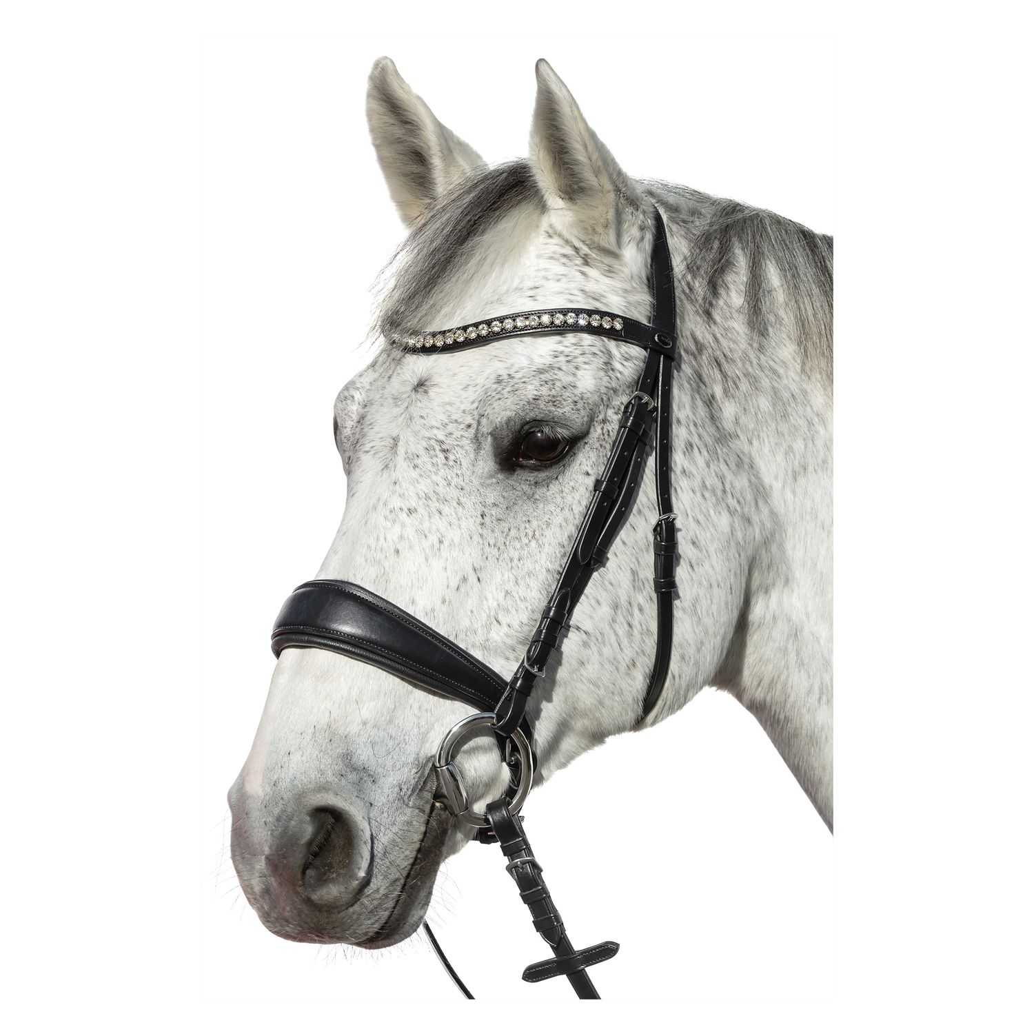 Loesdau Trensenzaum Venice – Ansicht 1