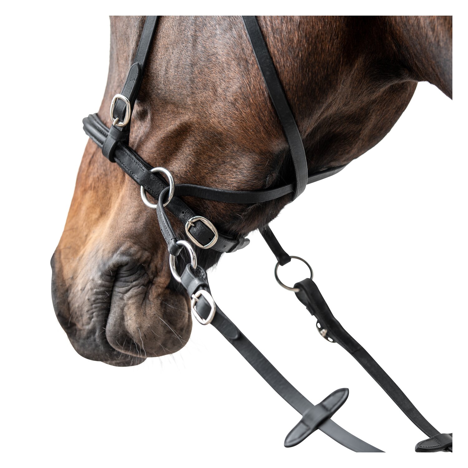 Loesdau Gebisslose Zäumung Lagoa &ndash; Ansicht 2