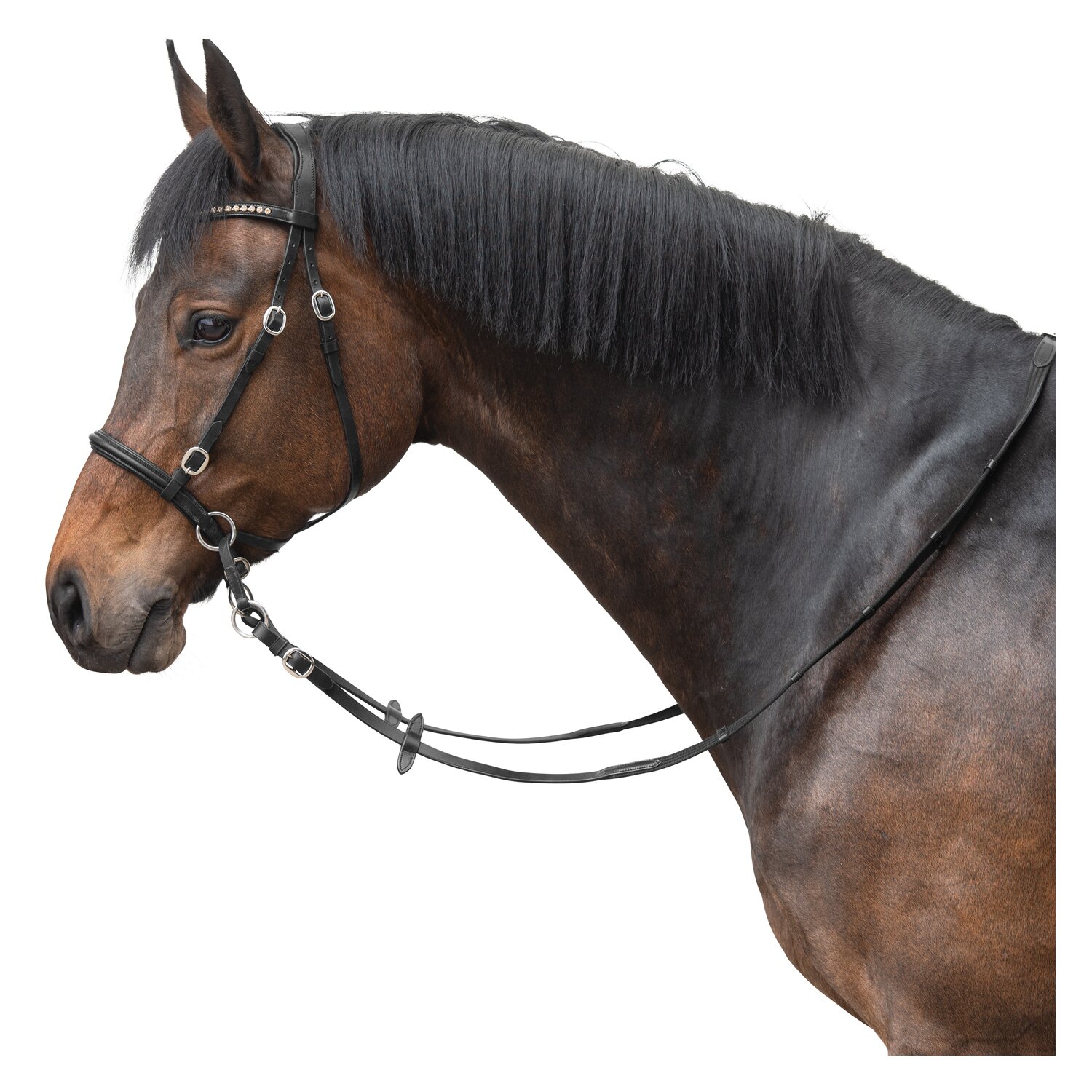 Loesdau Gebisslose Zäumung Lagoa &ndash; Ansicht 1