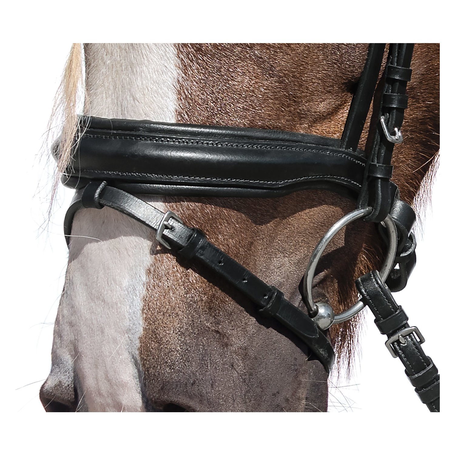 Loesdau Kaltbluttrensenzaum Charlotte &ndash; Ansicht 2