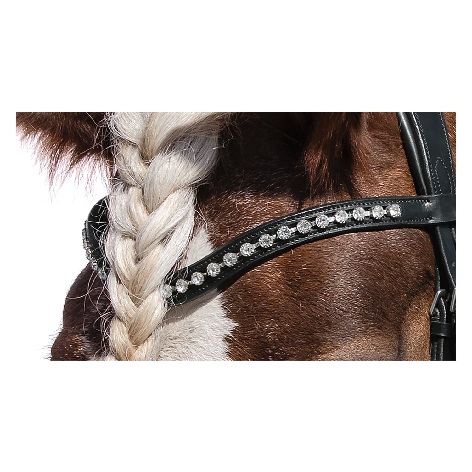 Loesdau Kaltbluttrensenzaum Charlotte &ndash; Ansicht 3