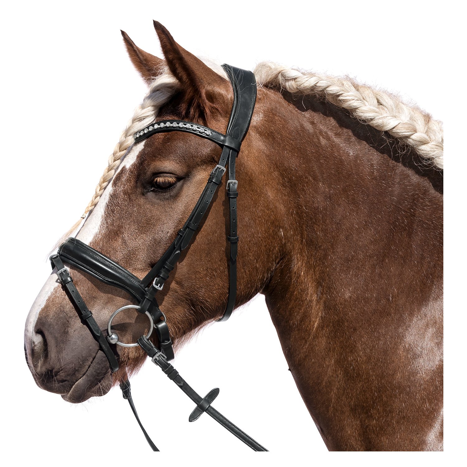 Loesdau Kaltbluttrensenzaum Charlotte &ndash; Ansicht 1