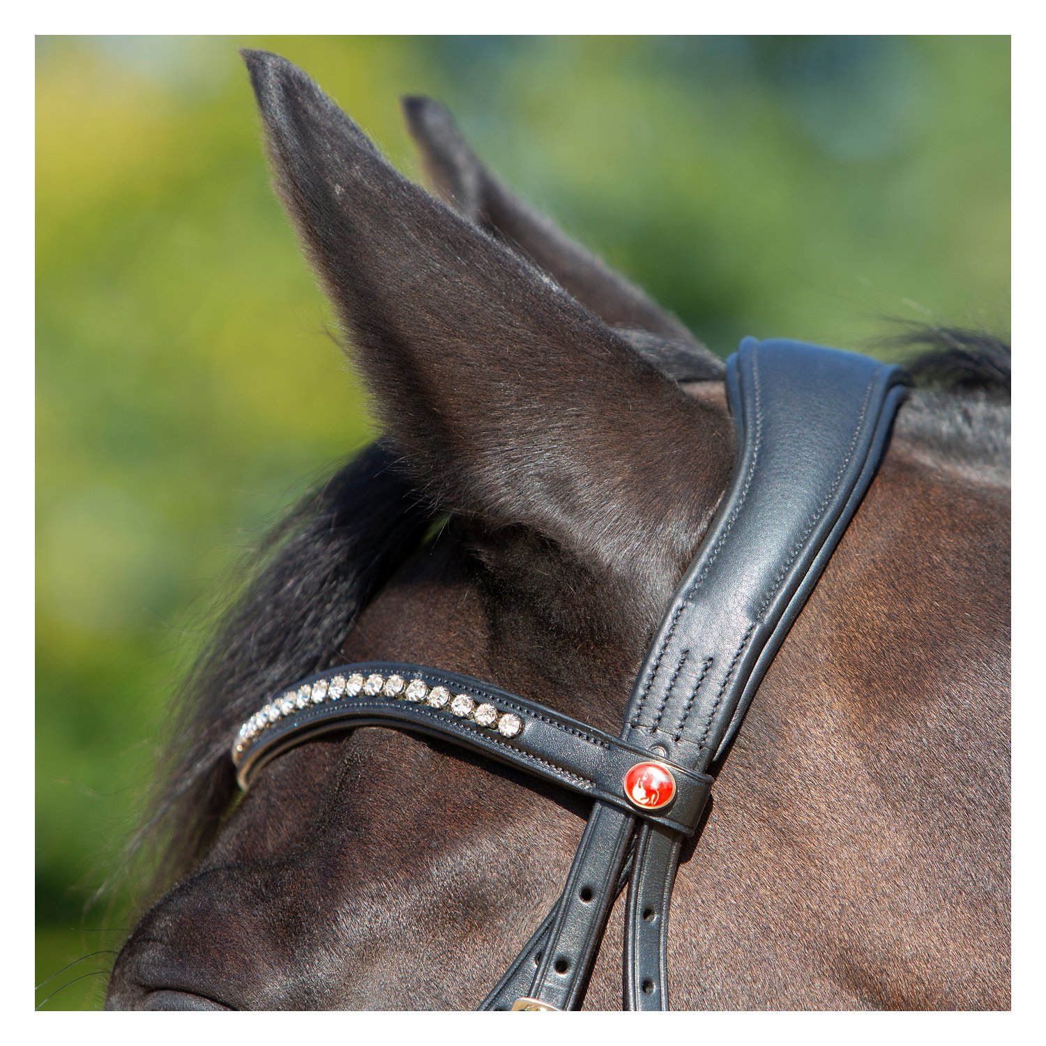 kieffer Trensenzaum Kieffer Ultrasoft® Sue – Ansicht 3