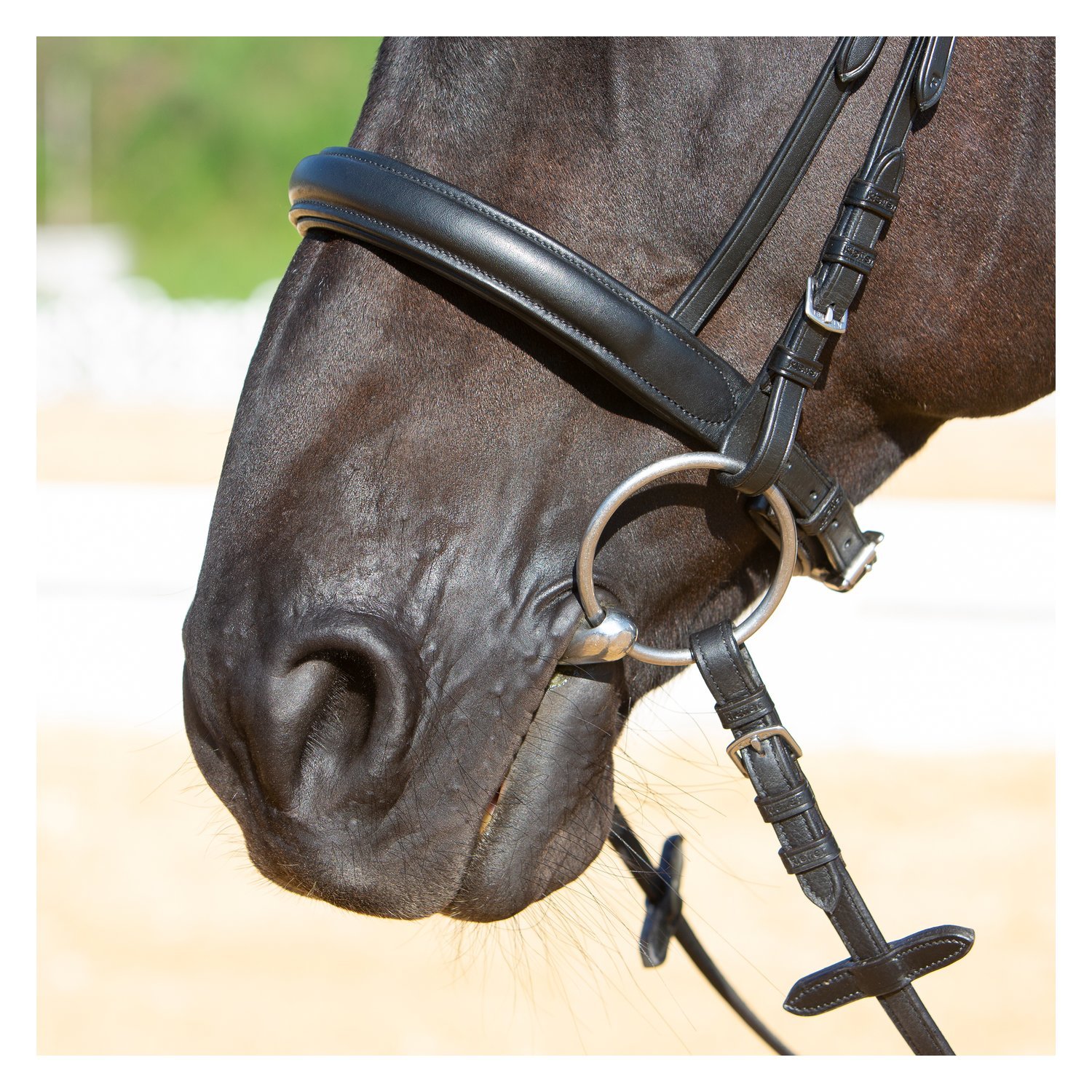 kieffer Trensenzaum Kieffer Ultrasoft® Sue – Ansicht 4