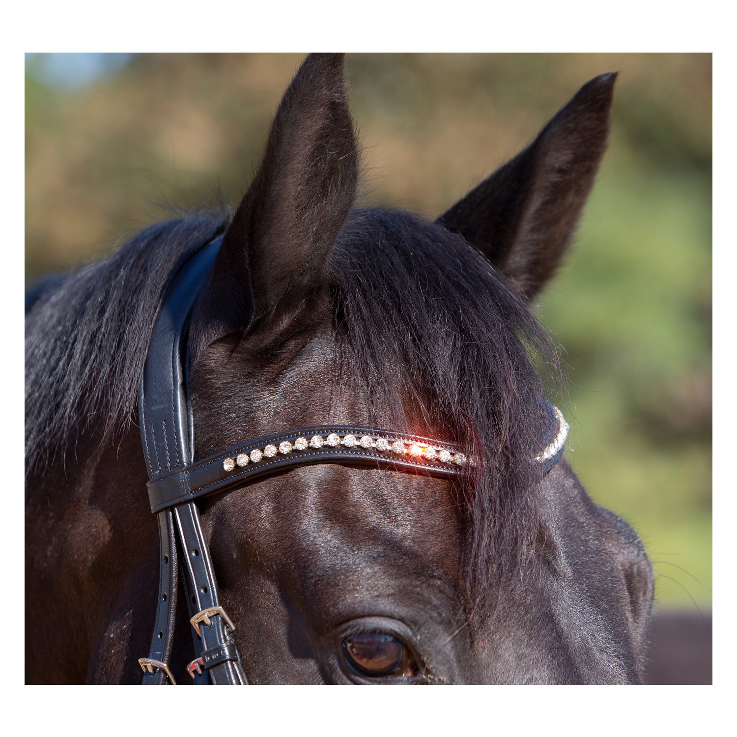 kieffer Trensenzaum Kieffer Ultrasoft® Sue – Ansicht 2