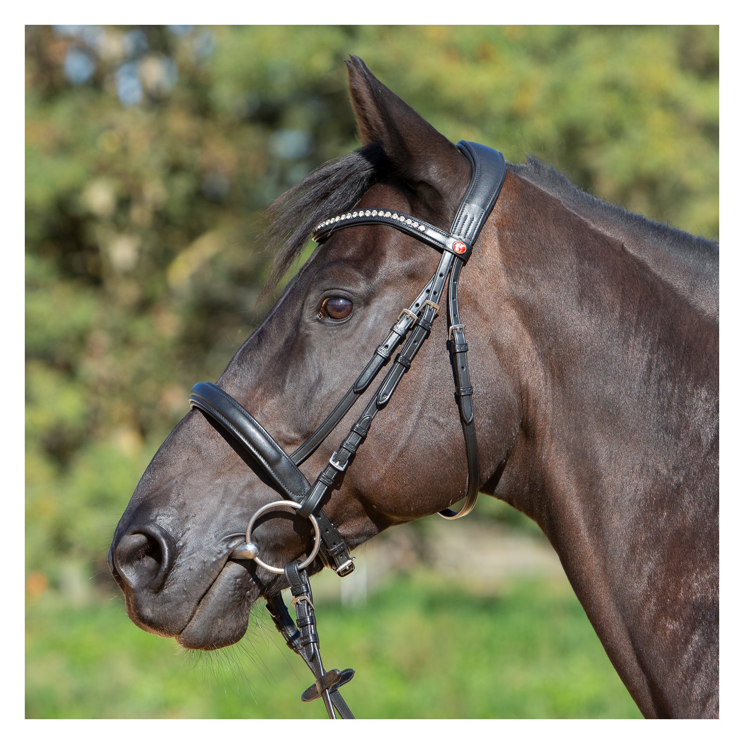 kieffer Trensenzaum Kieffer Ultrasoft® Sue – Ansicht 1