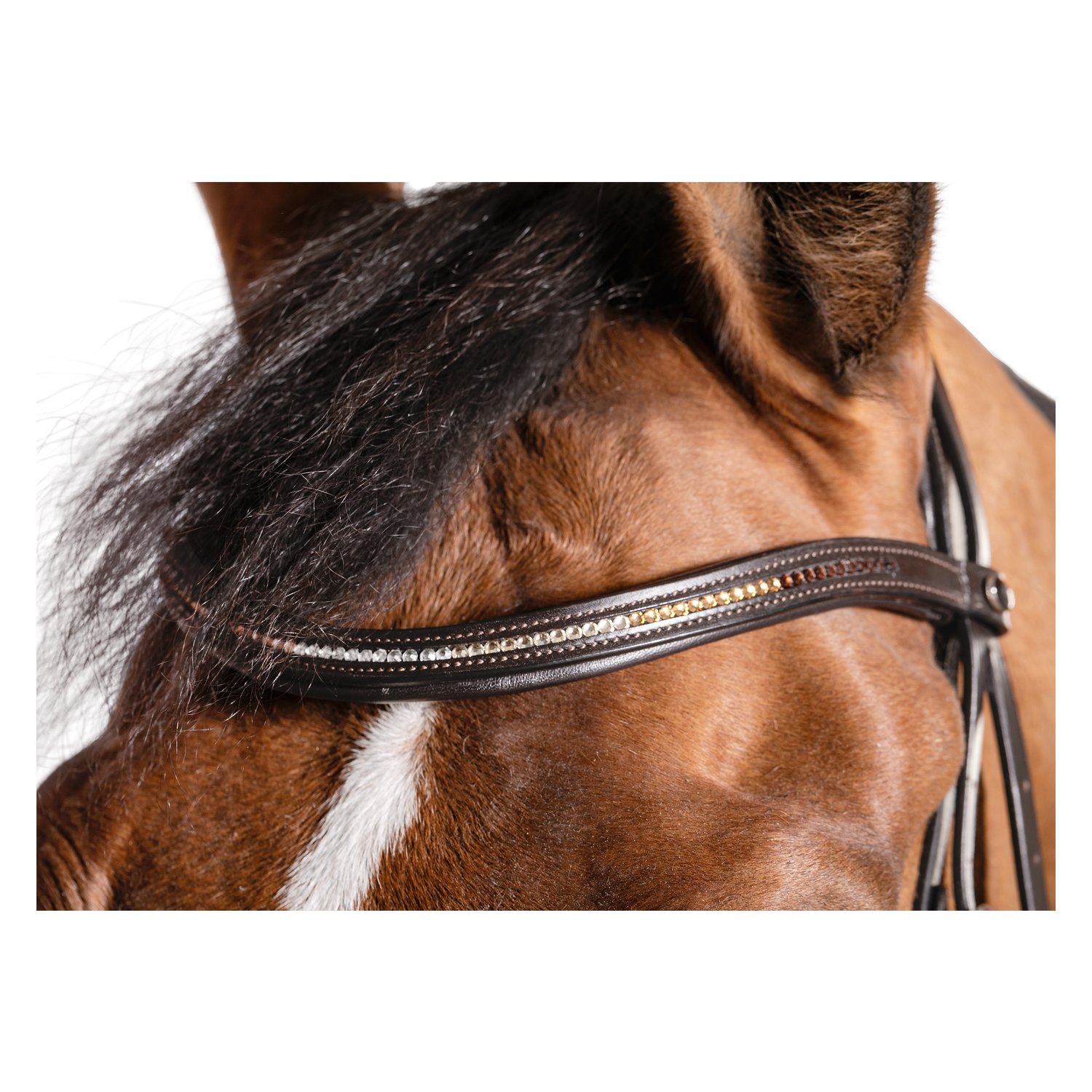 Loesdau Trensenzaum Linz – Ansicht 2