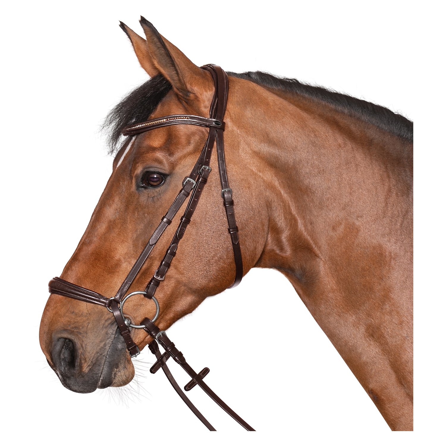 Loesdau Trensenzaum Linz – Ansicht 1