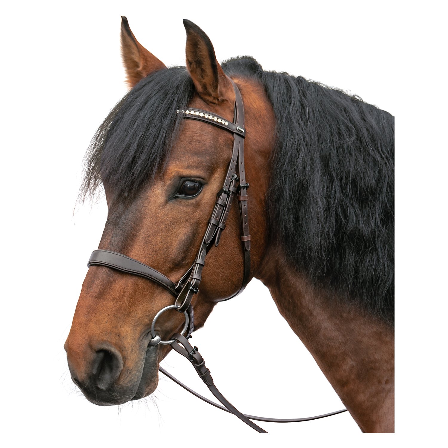 Trensenzaum Jerez &ndash; Ansicht 1