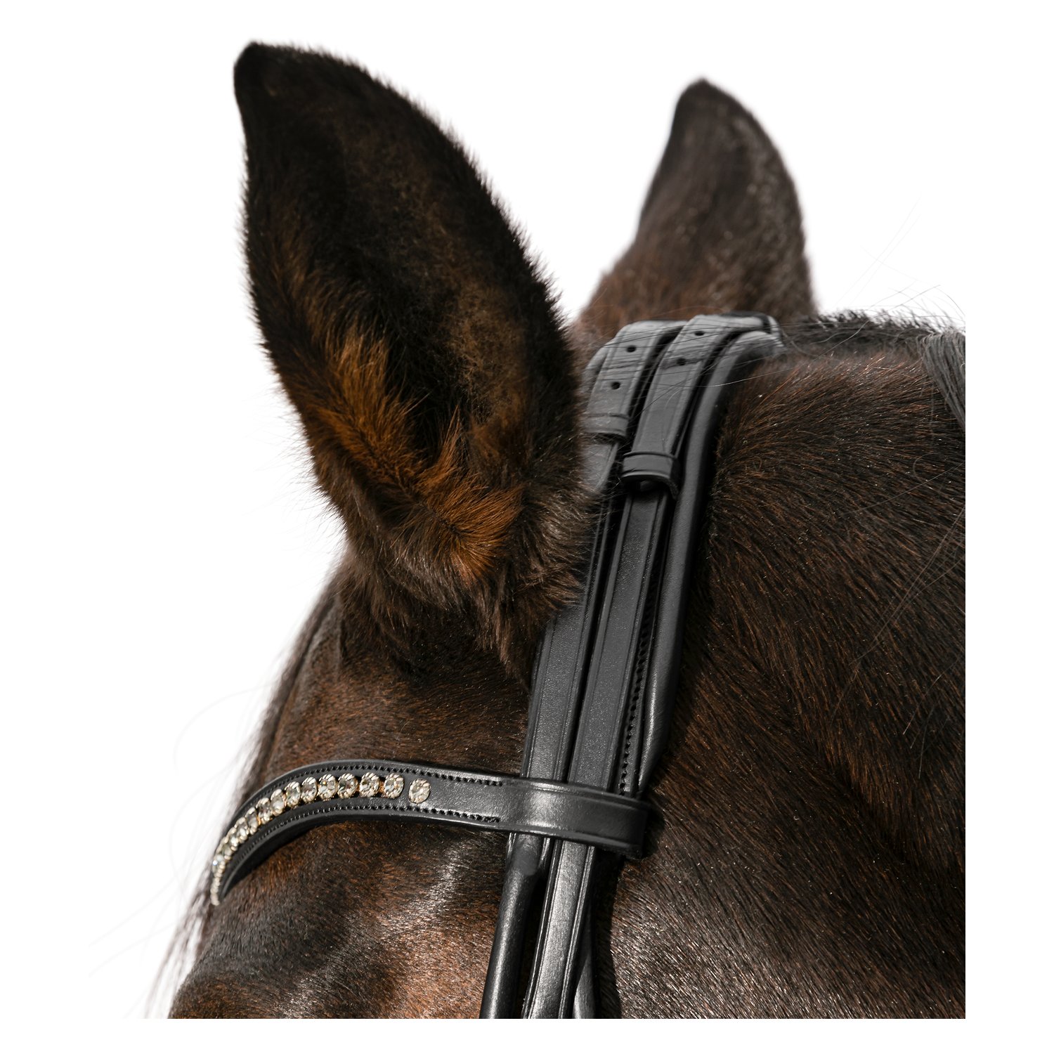 Cheval de Luxe Trensenzaum Montpellier – Ansicht 2