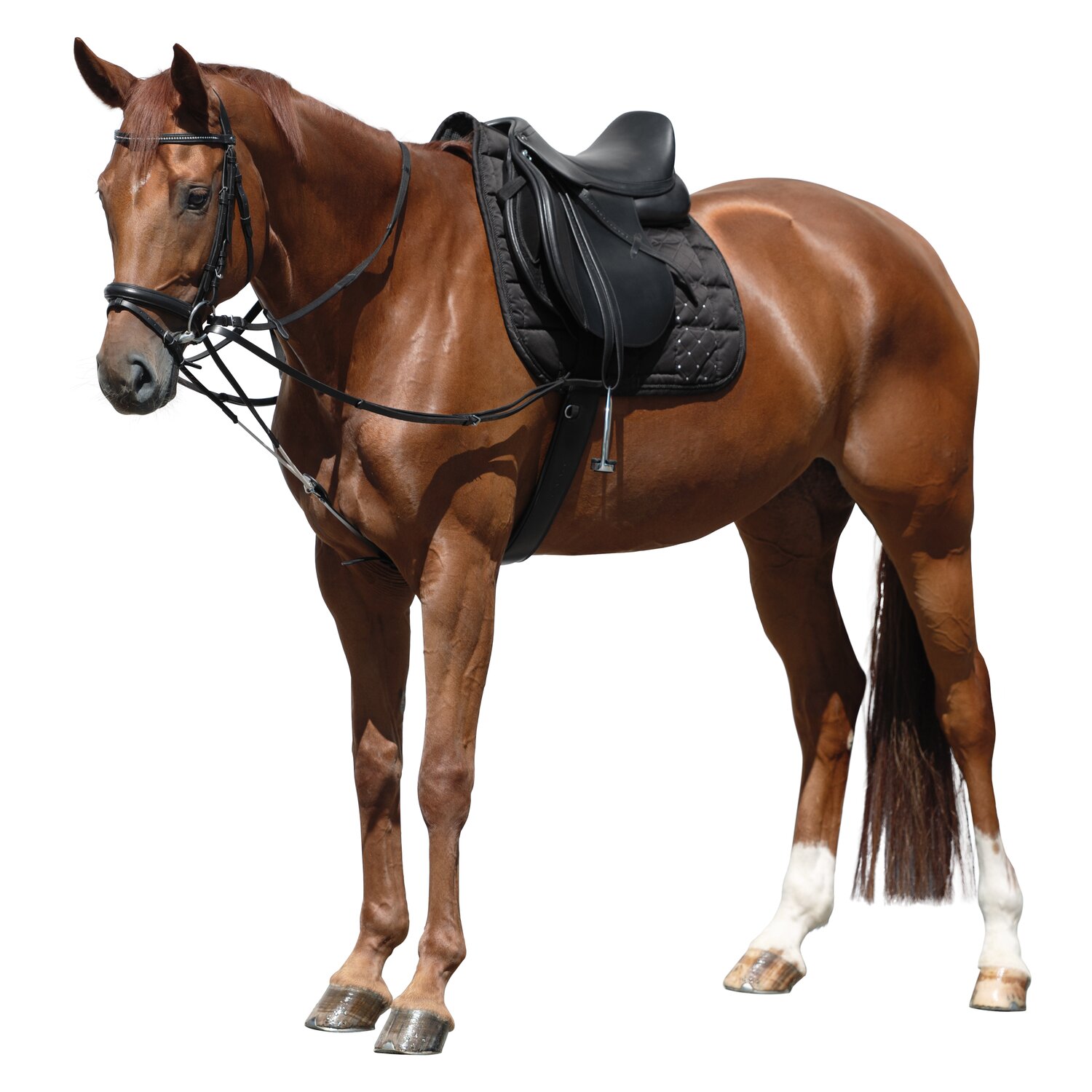 MONTIVUM Dreieckszügel – Ansicht 2