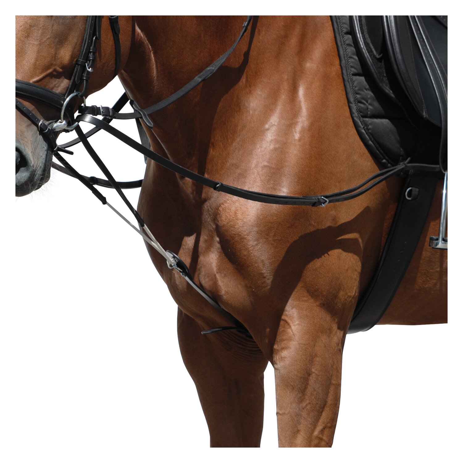 MONTIVUM Dreieckszügel – Ansicht 1