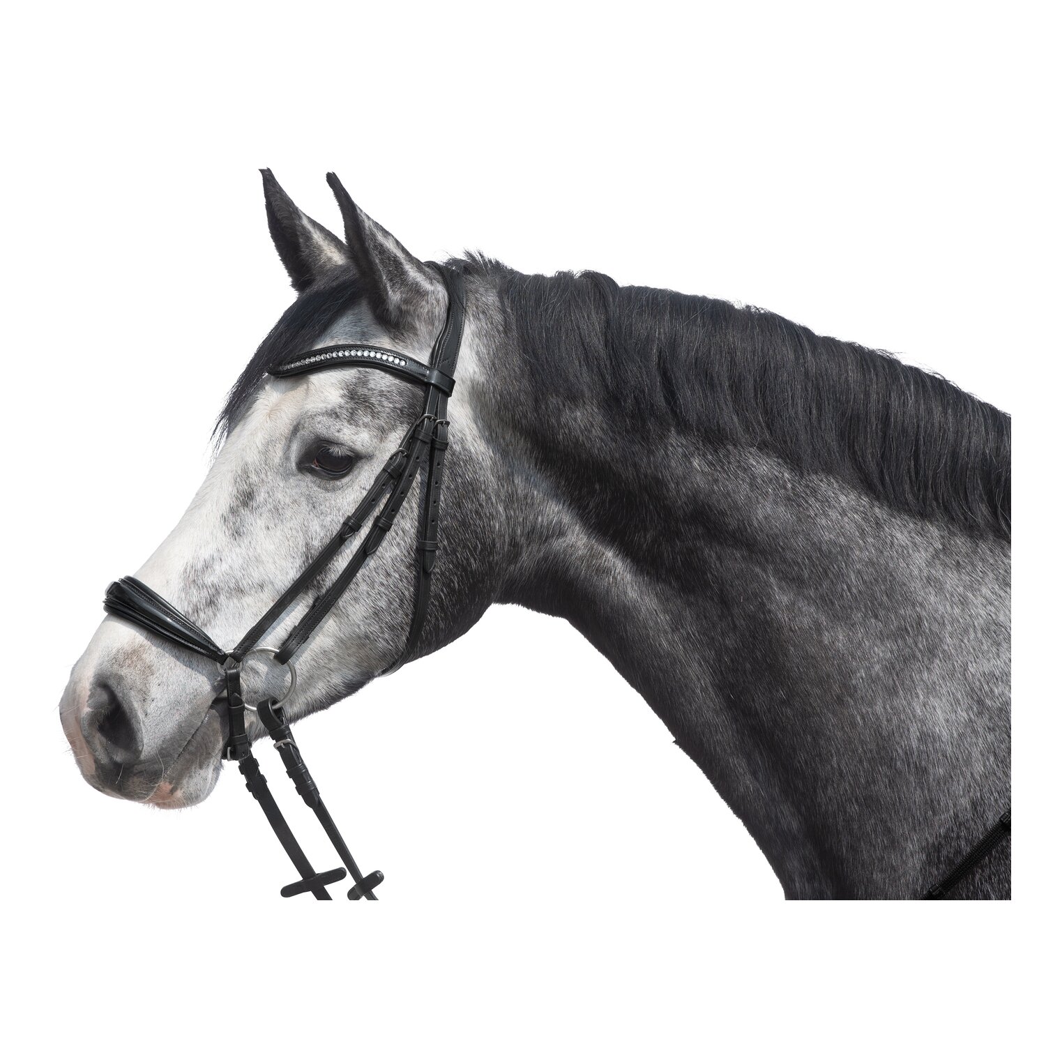 Loesdau Trensenzaum Chicago – Ansicht 1