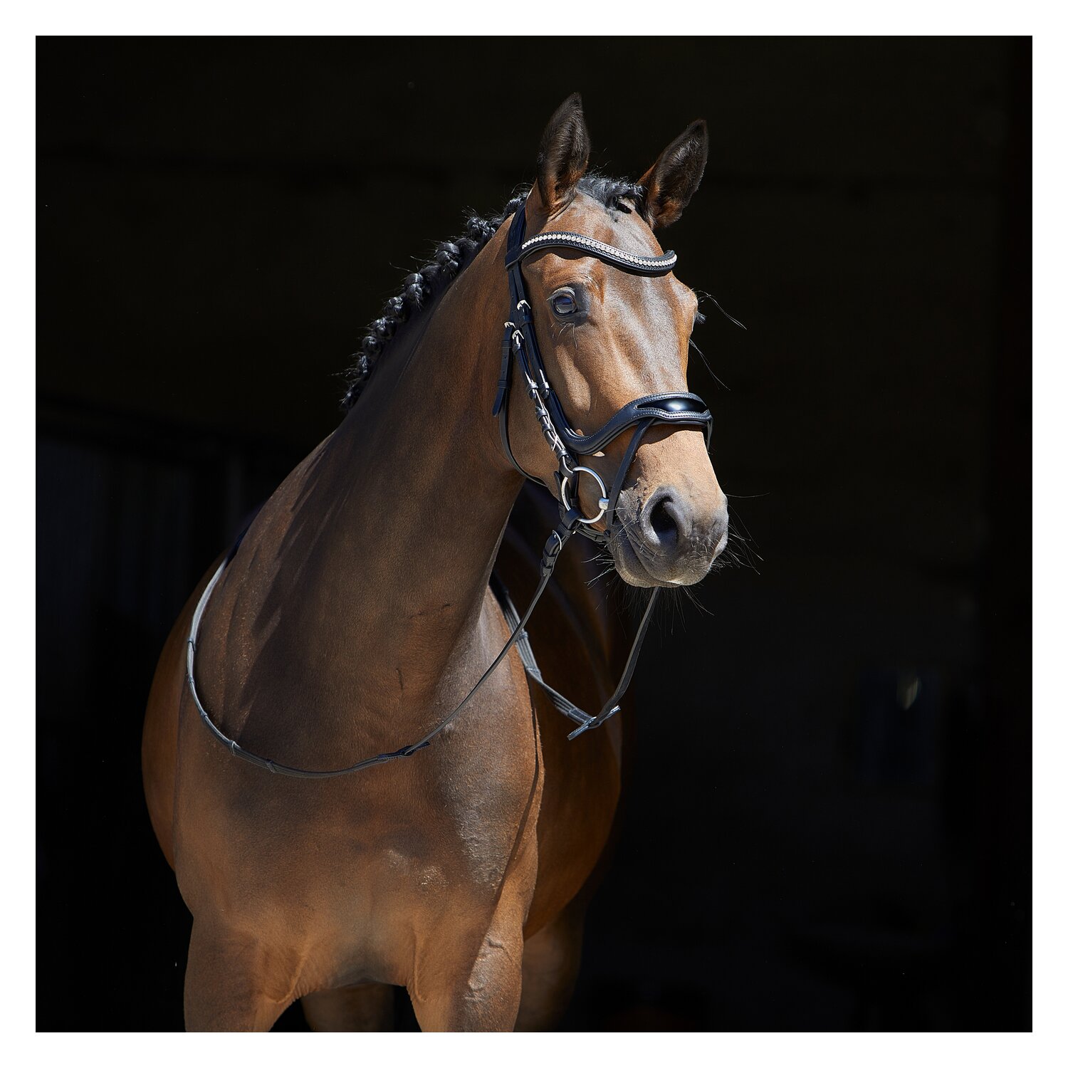 kieffer Trensenzaum Softtech Line Anouk – Ansicht 5