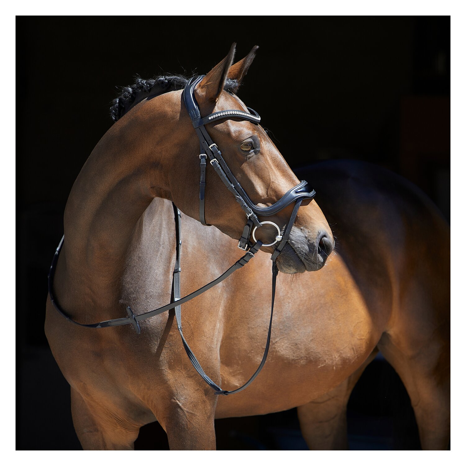 kieffer Trensenzaum Softtech Line Anouk – Ansicht 4