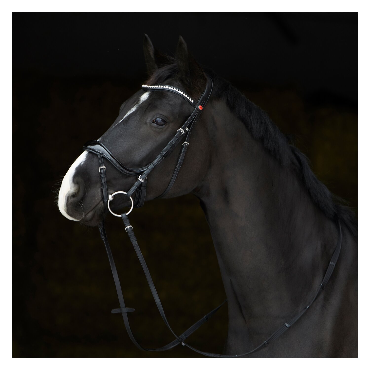 kieffer Trensenzaum Ultrasoft Amy Shine – Ansicht 5