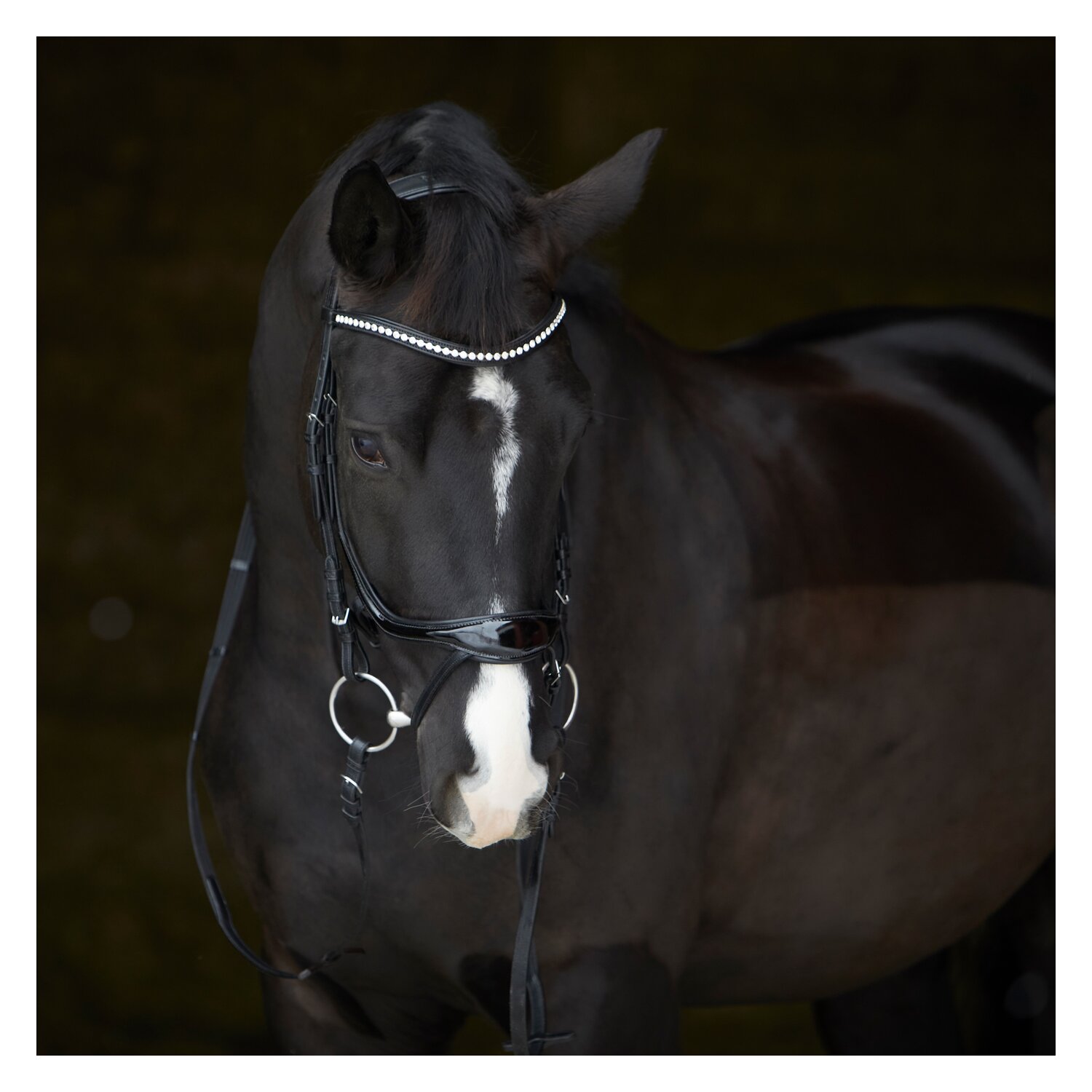 kieffer Trensenzaum Ultrasoft Amy Shine – Ansicht 6