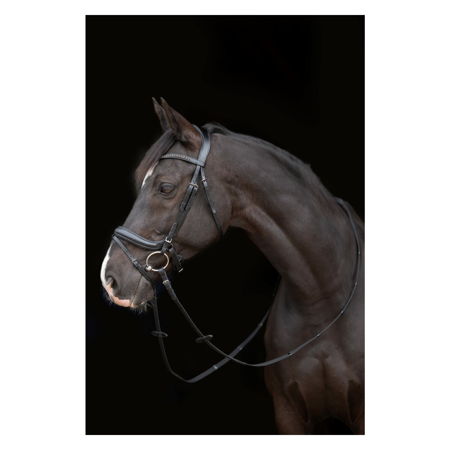 Cheval de Luxe Trensenzaum Genova – Ansicht 1