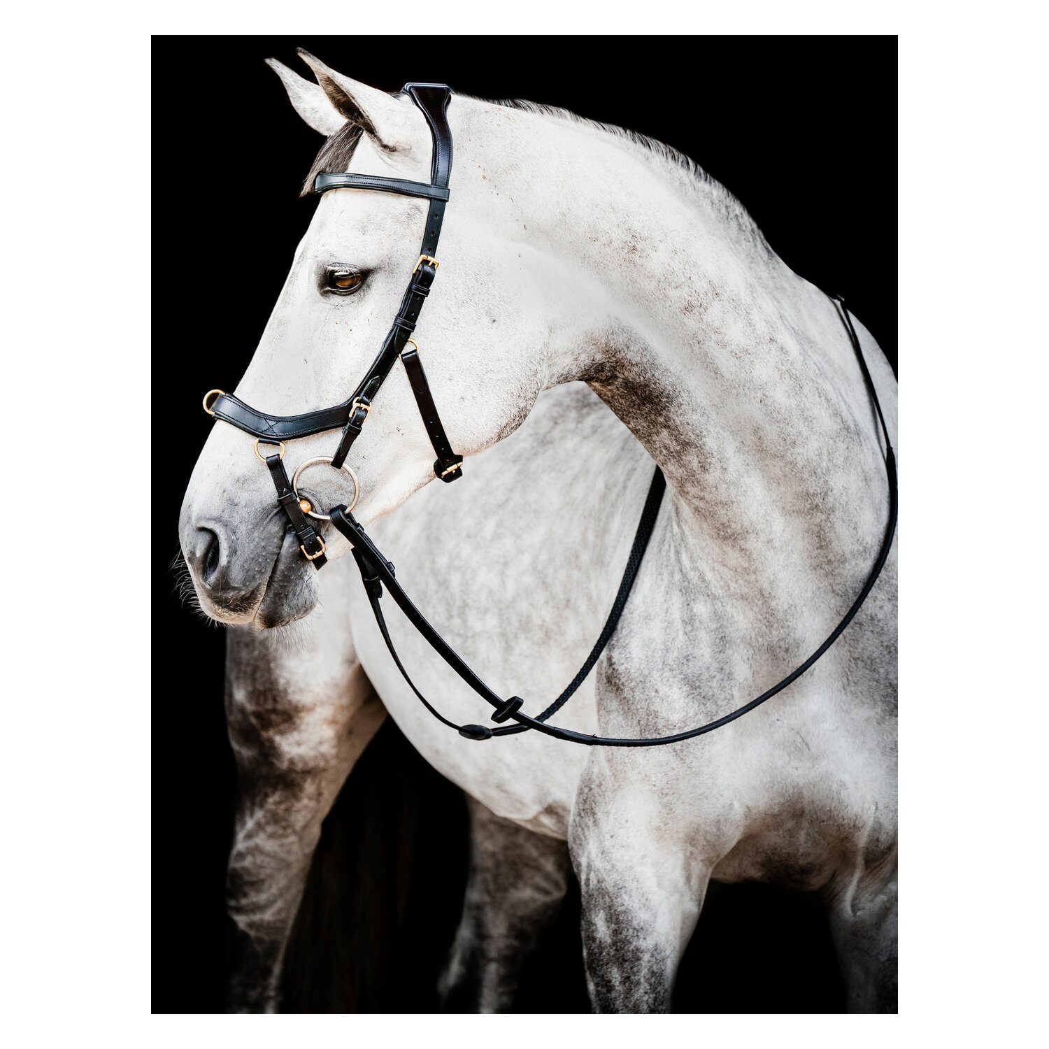 HORSEWARE Micklem 2 Multi Bridle – Ansicht 1