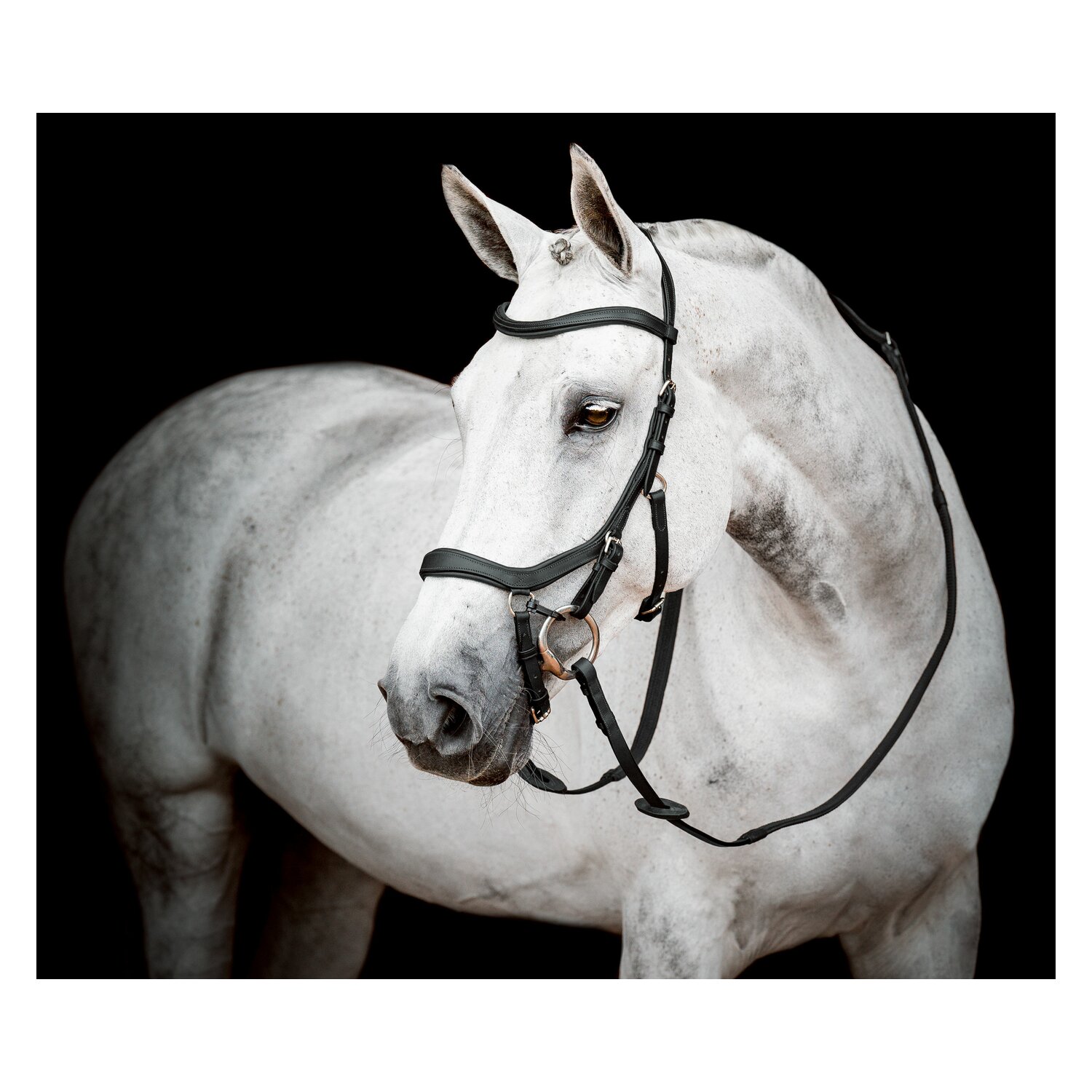HORSEWARE Micklem 2 Competion Bridle – Ansicht 1
